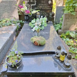 Źródło: VIII Liceum Ogólnokształcące im. Władysława IV w Warszawie.