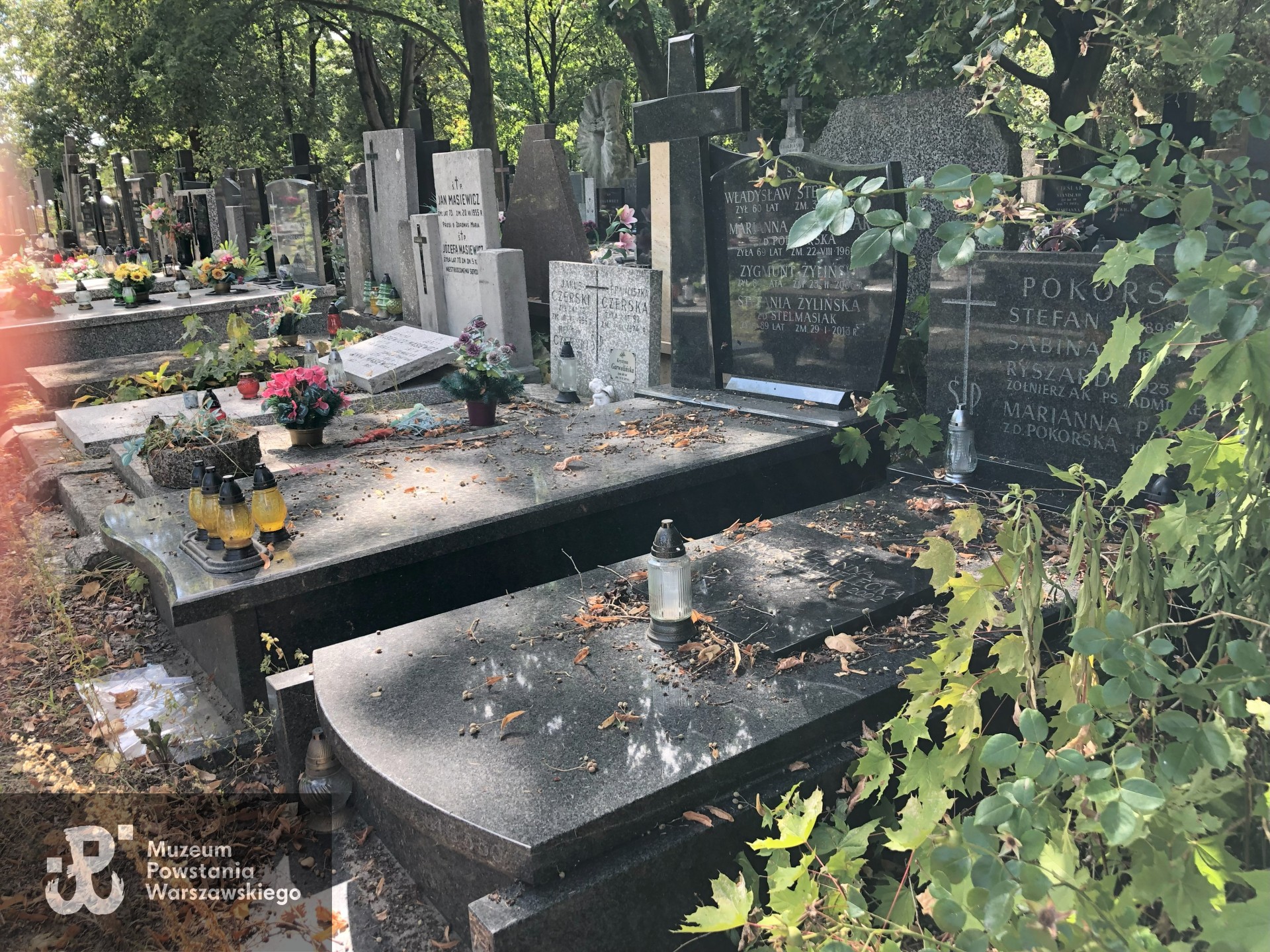 Źródło: Dorota Kotowska, Agnieszka Nowak.