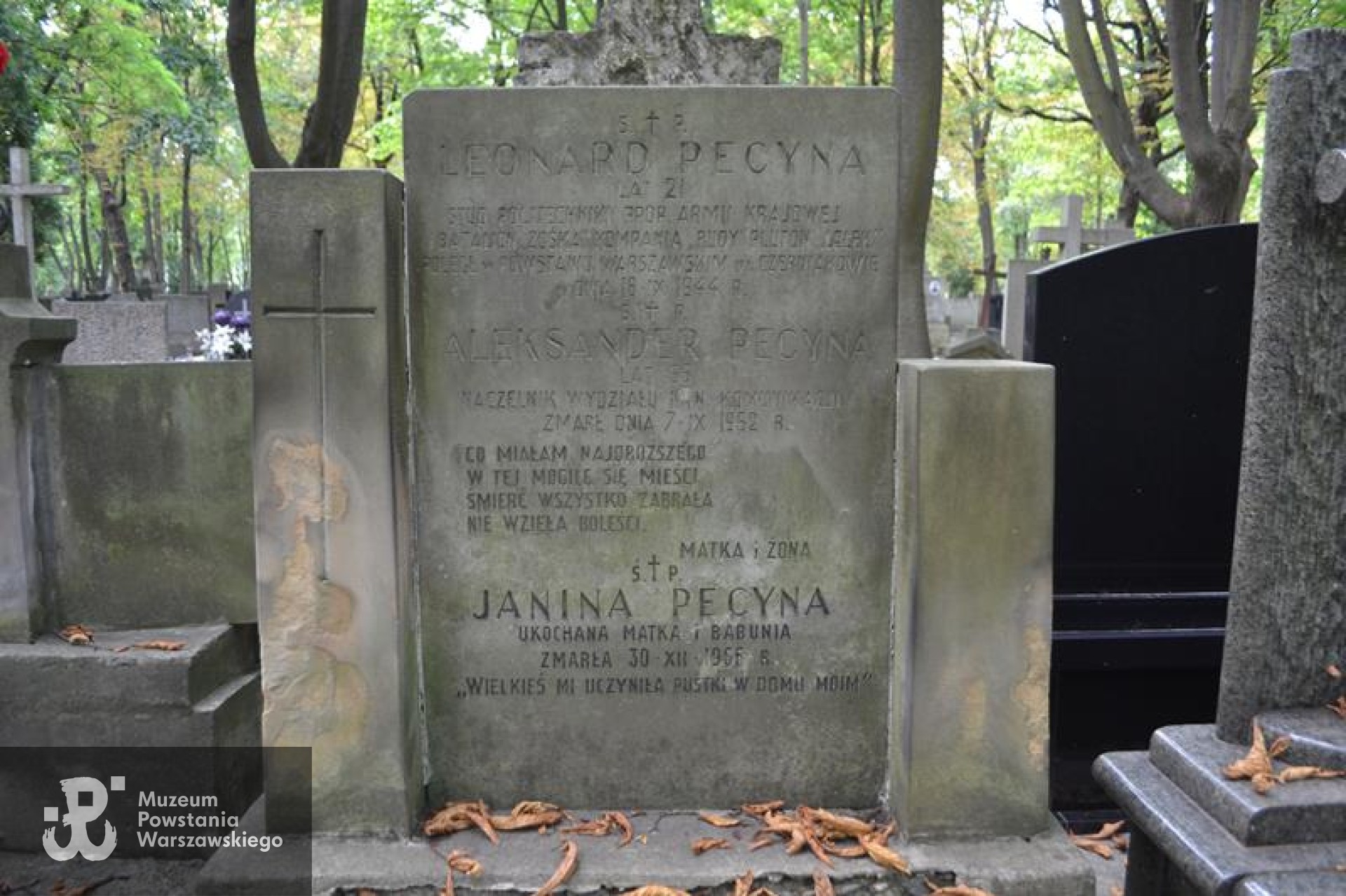 Grób na Starych Powązkach. Źródło: https://cmentarze.um.warszawa.pl/pomnik.aspx?pom_id=54094 [dostęp: 10.02.2026].