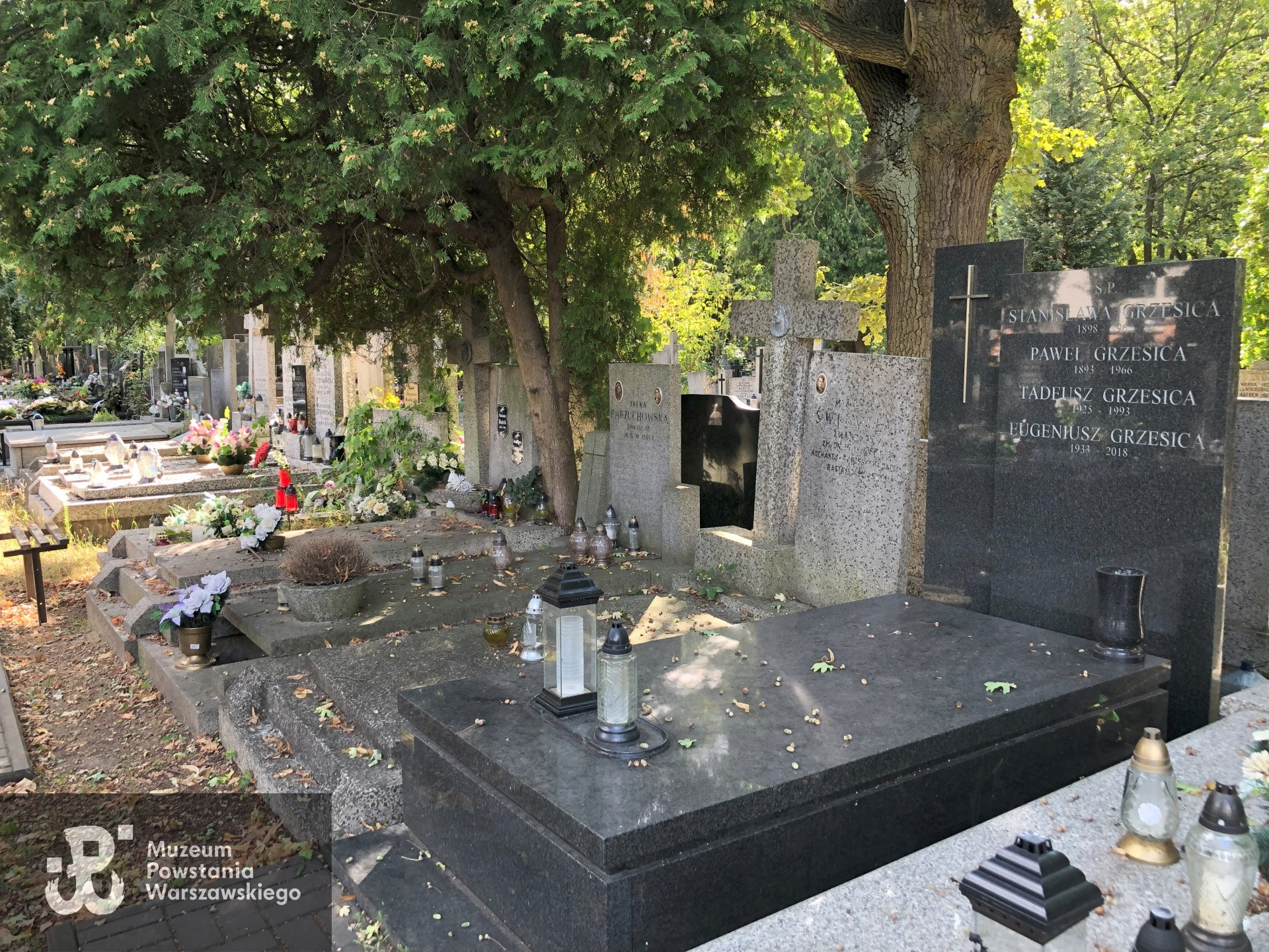 Źródło: Dorota Kotowska.