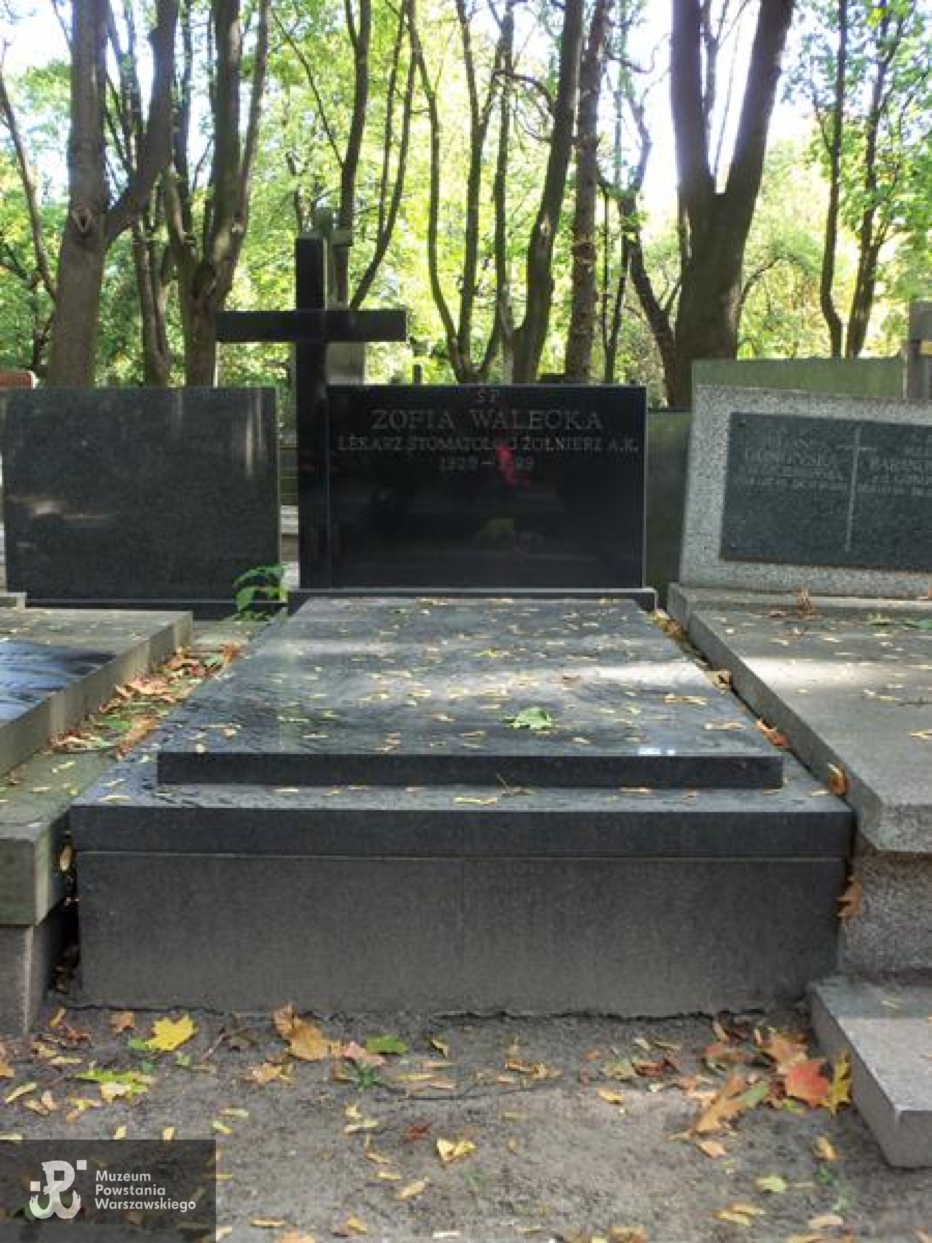 Źródło: https://cmentarze.um.warszawa.pl/pomnik.aspx?pom_id=39017 [dostęp: 6.06.2026].
