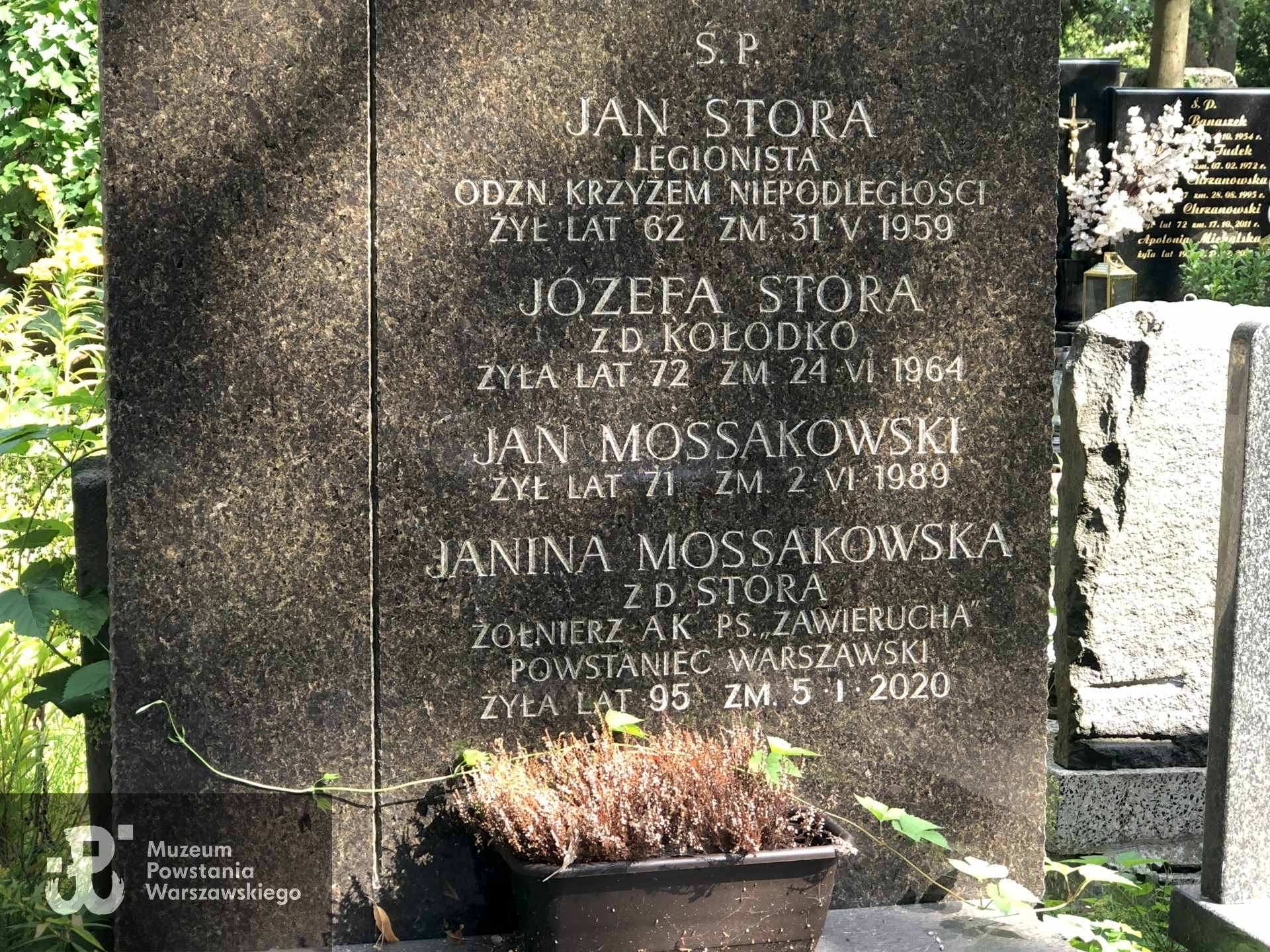 Źródło: Dorota Kotowska.