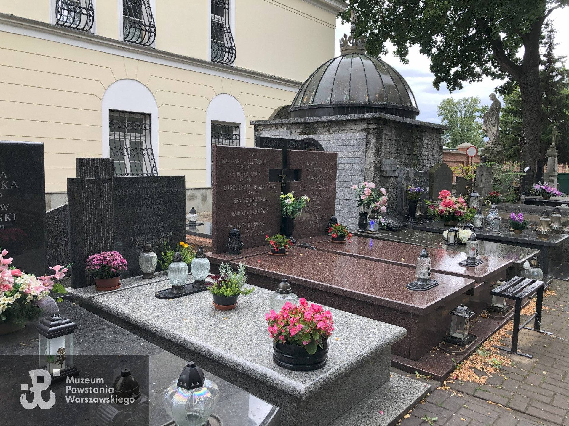 Źródło: Dorota Kotowska.