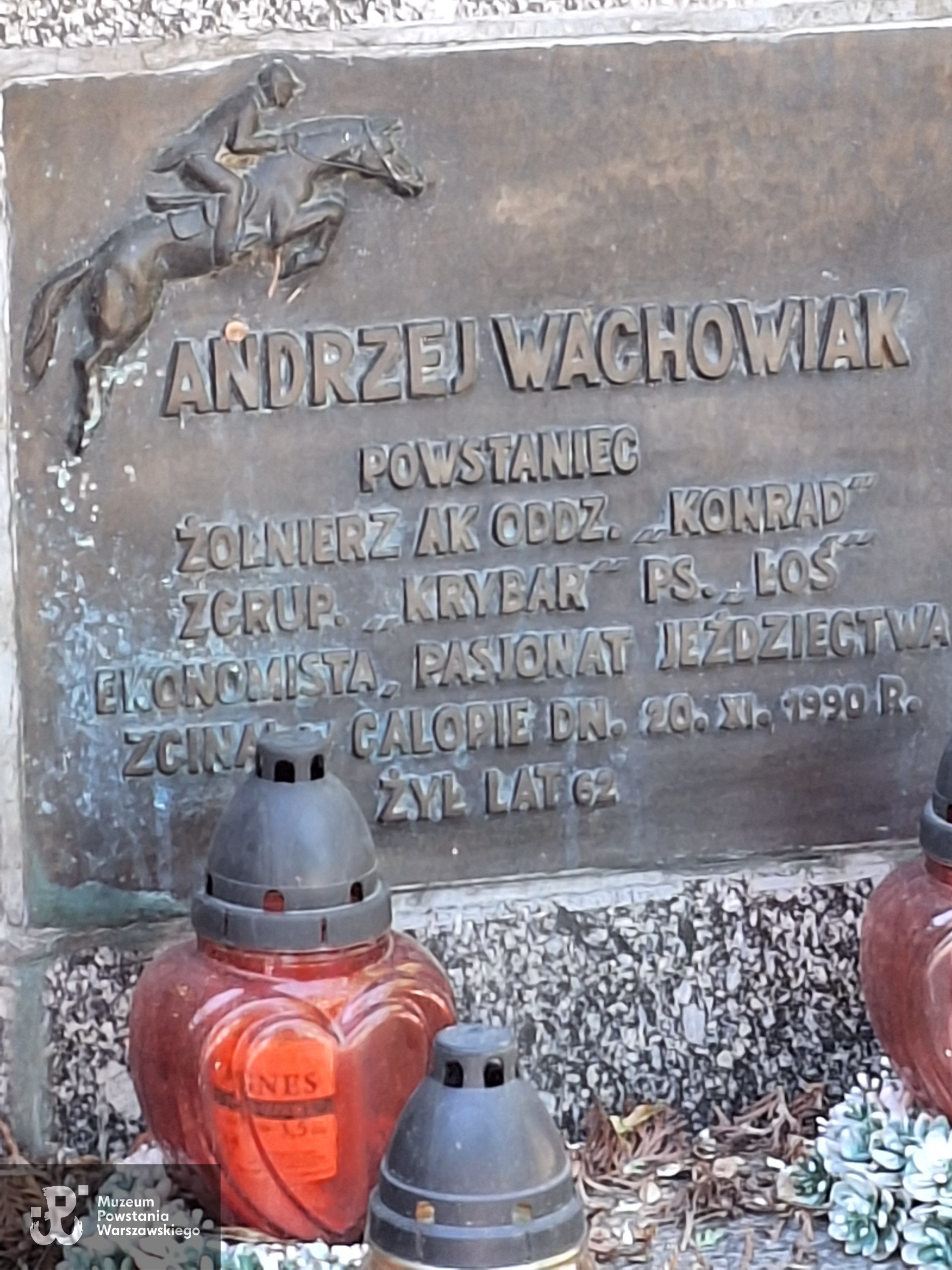 Źródło: VIII Liceum Ogólnokształcące im. Władysława IV w Warszawie.