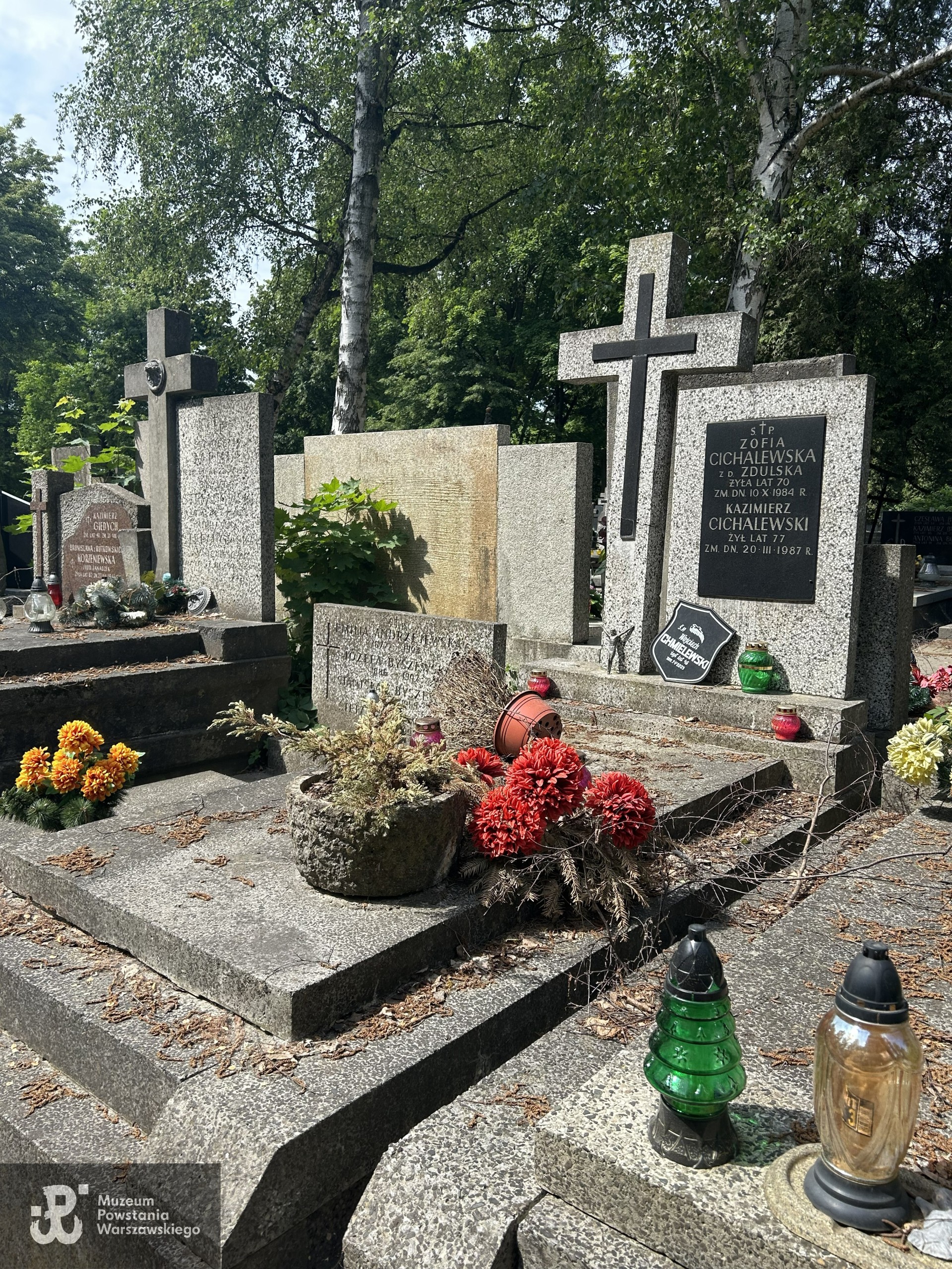 Źródło: VIII Liceum Ogólnokształcące im. Władysława IV w Warszawie.