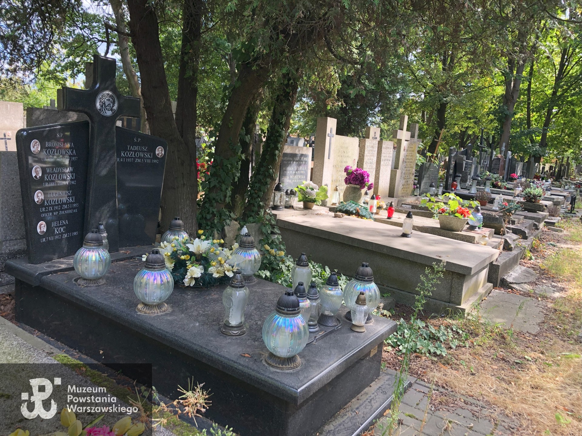 Źródło: Dorota Kotowska.