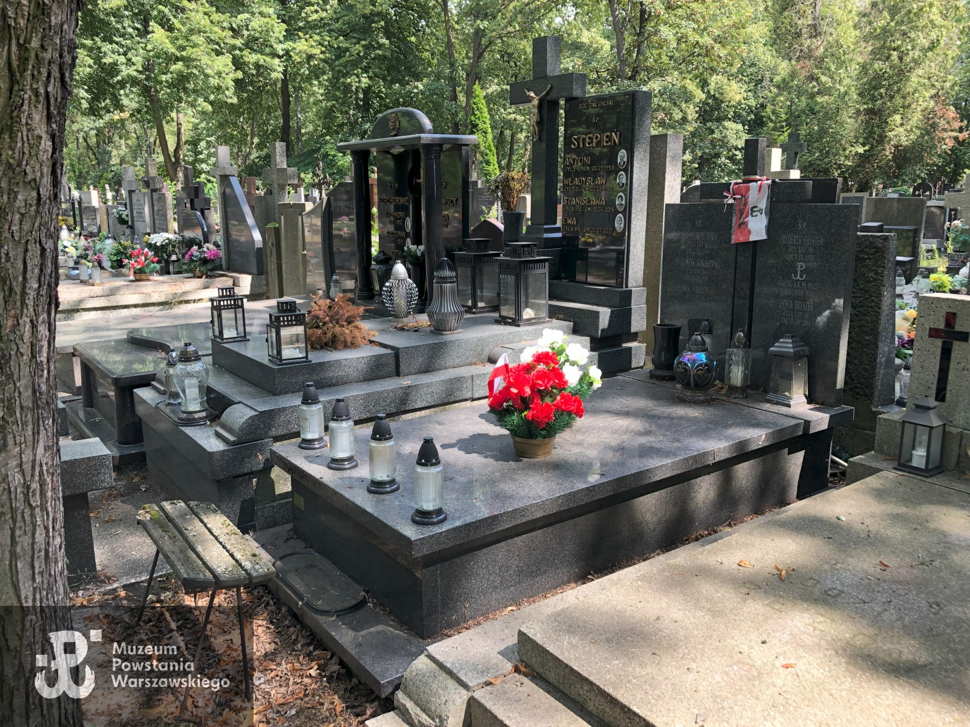 Źródło: Dorota Kotowska, Agnieszka Nowak.