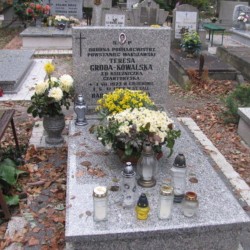 Źródło: https://opolepolwies.grobonet.com/grobonet/start.php?id=detale&idg=6808 [dostęp: 18.09.2025].