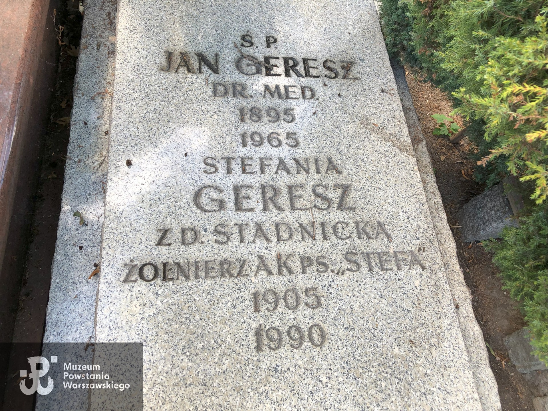 Źródło: Dorota Kotowska.