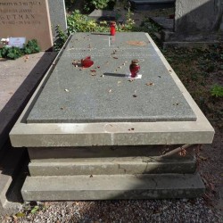 Źródło: https://cmentarze.um.warszawa.pl/pomnik.aspx?pom_id=67763 [dostęp: 15.04.2025].