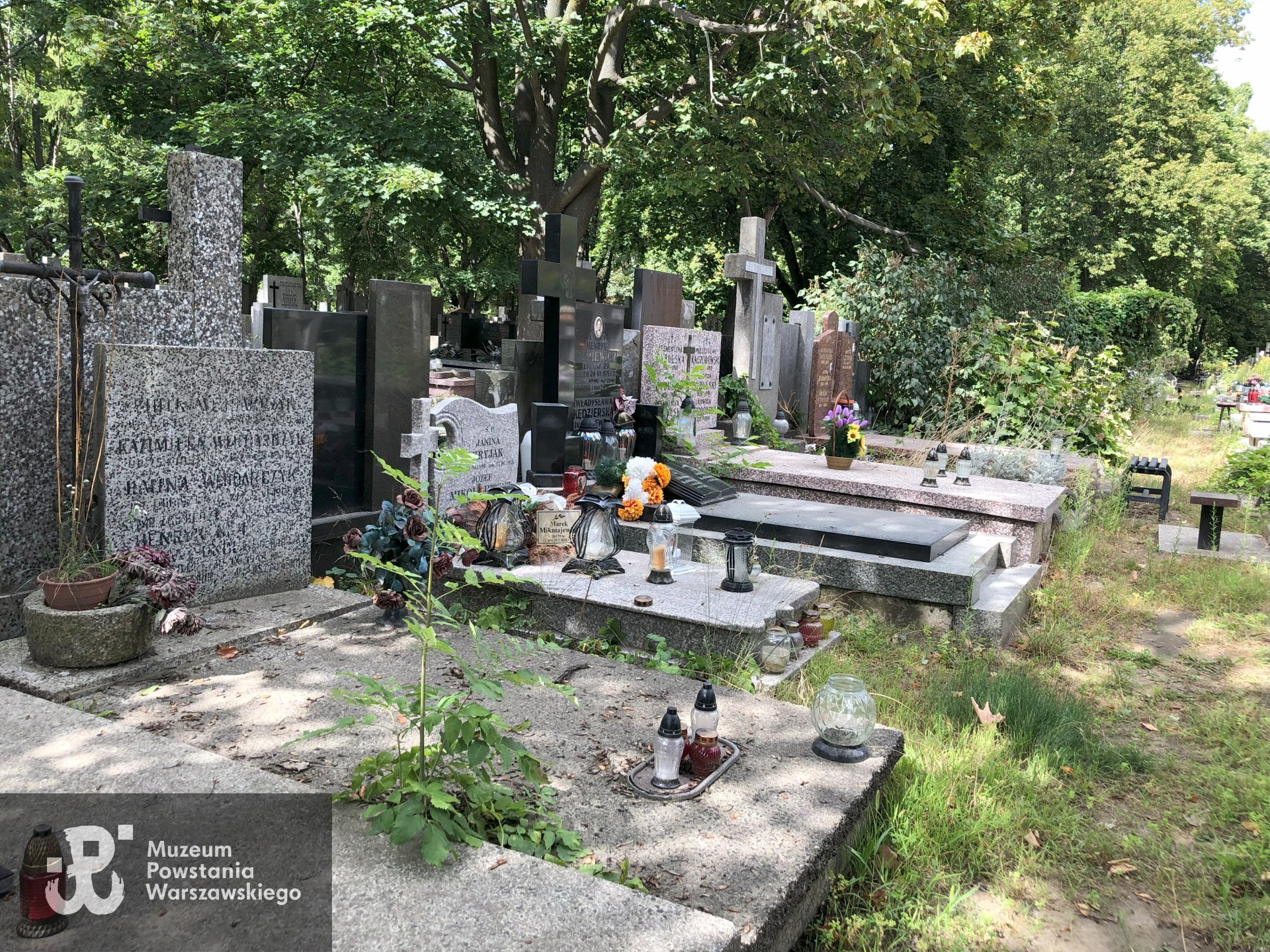 Źródło: Dorota Kotowska.