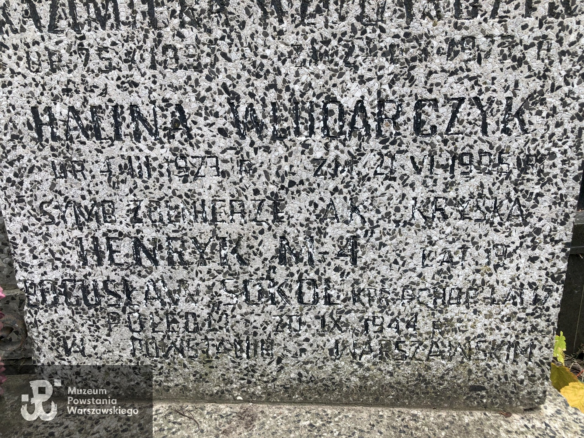 Źródło: Dorota Kotowska.