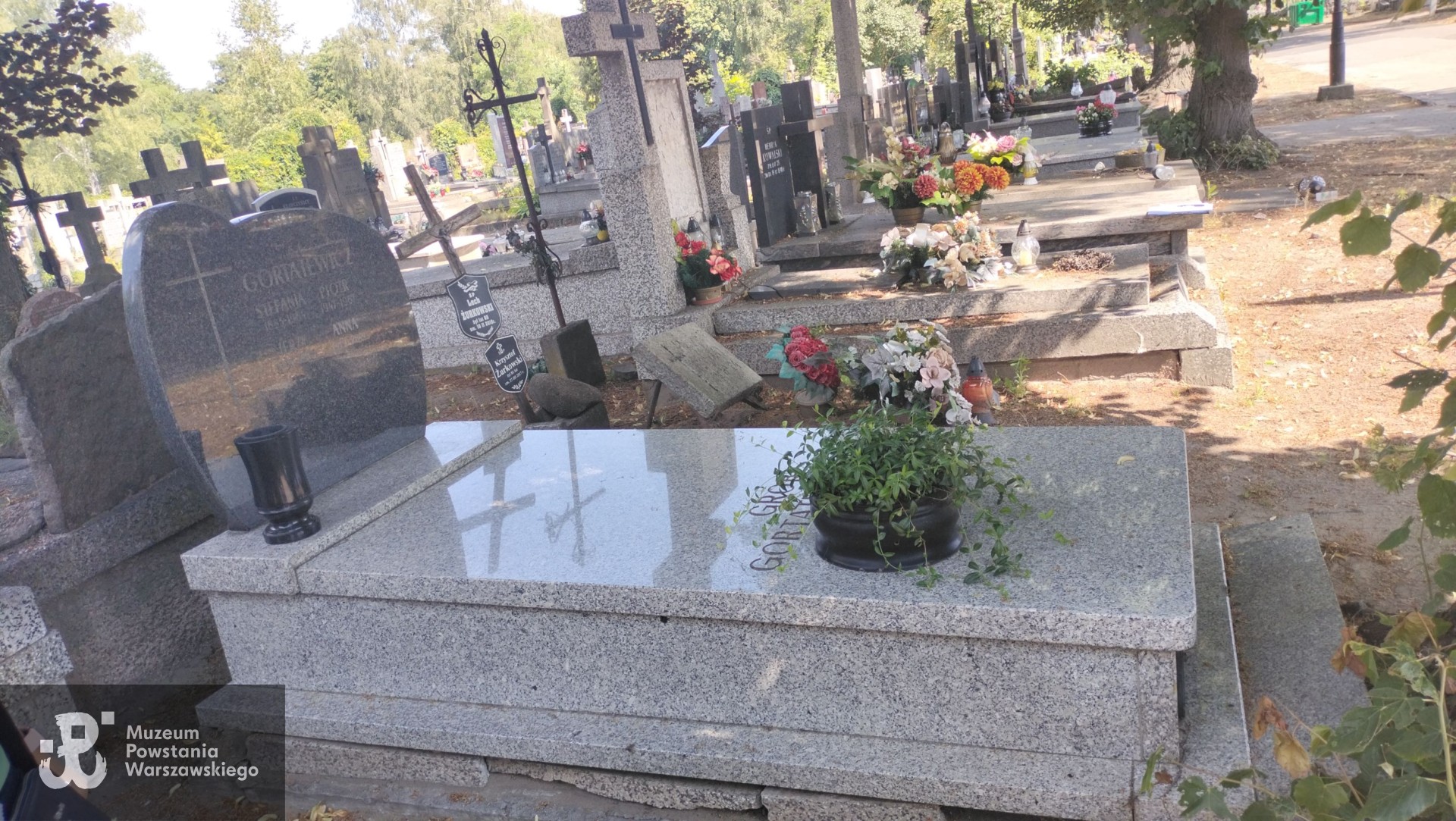 Źródło: Zespół Szkół nr 14 w Warszawie.