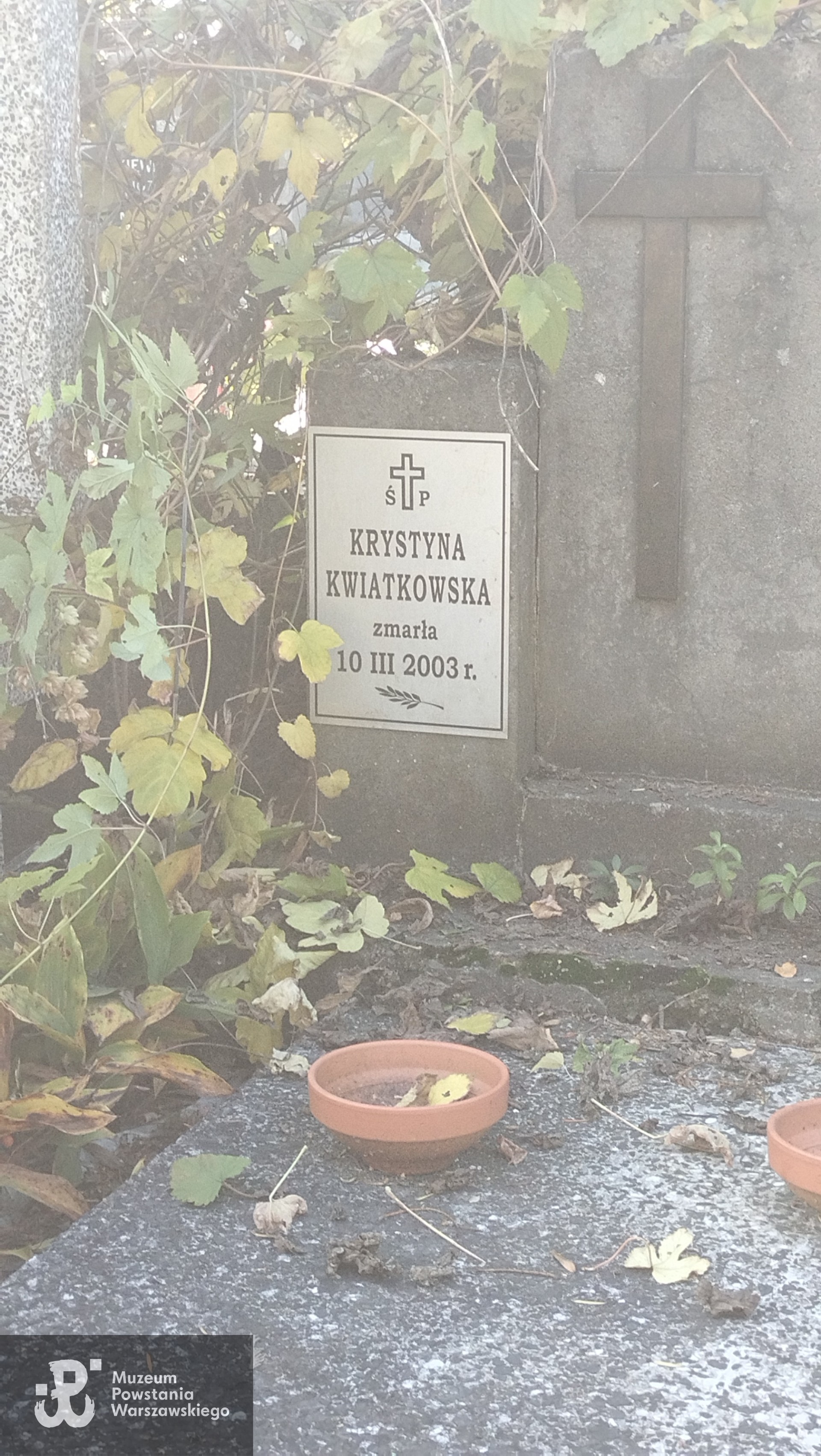 Źródło: Zespół Szkół nr 14 w Warszawie.