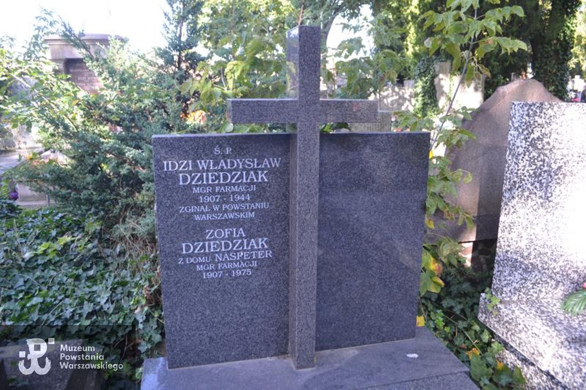 Źródło: https://cmentarze.um.warszawa.pl/pomnik.aspx?pom_id=51902 [dostęp: 20.01.2026].