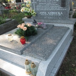 Źródło: https://wloclawek.grobonet.com/grobonet/start.php?id=detale&idg=256153 [dostęp: 08.06.2026].