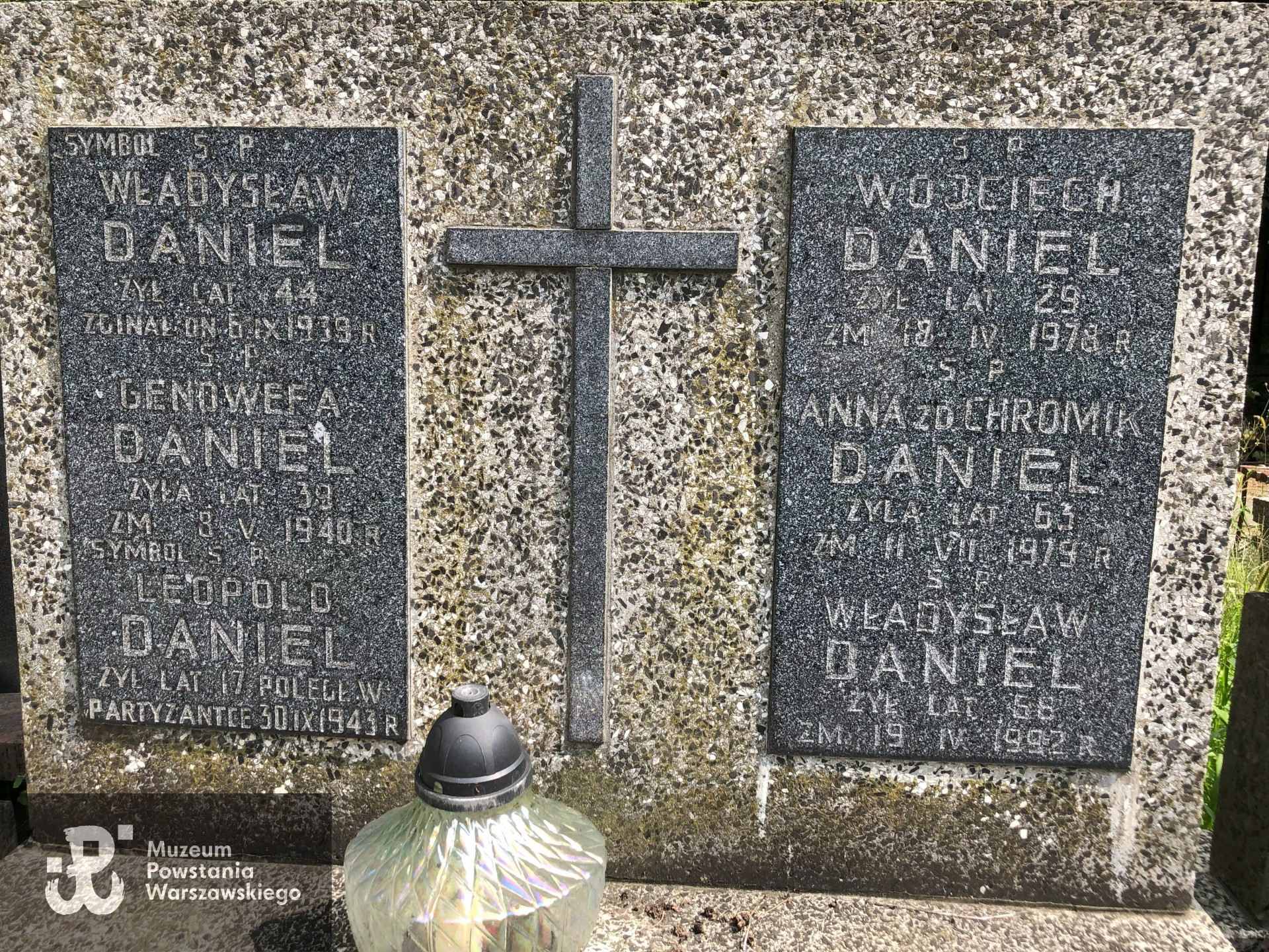 Źródło: Dorota Kotowska.