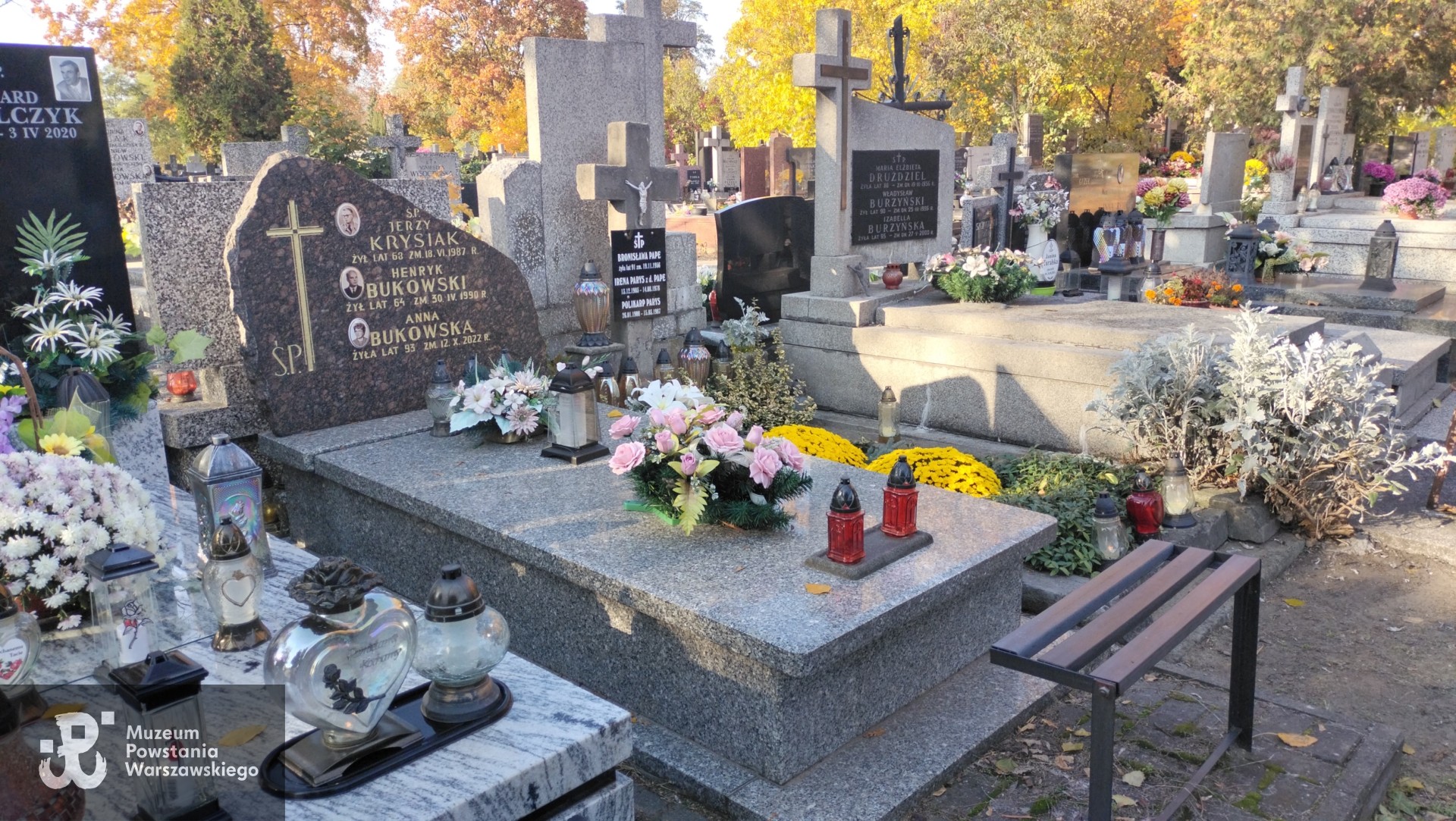 Źródło: Zespół Szkół nr 14 w Warszawie.