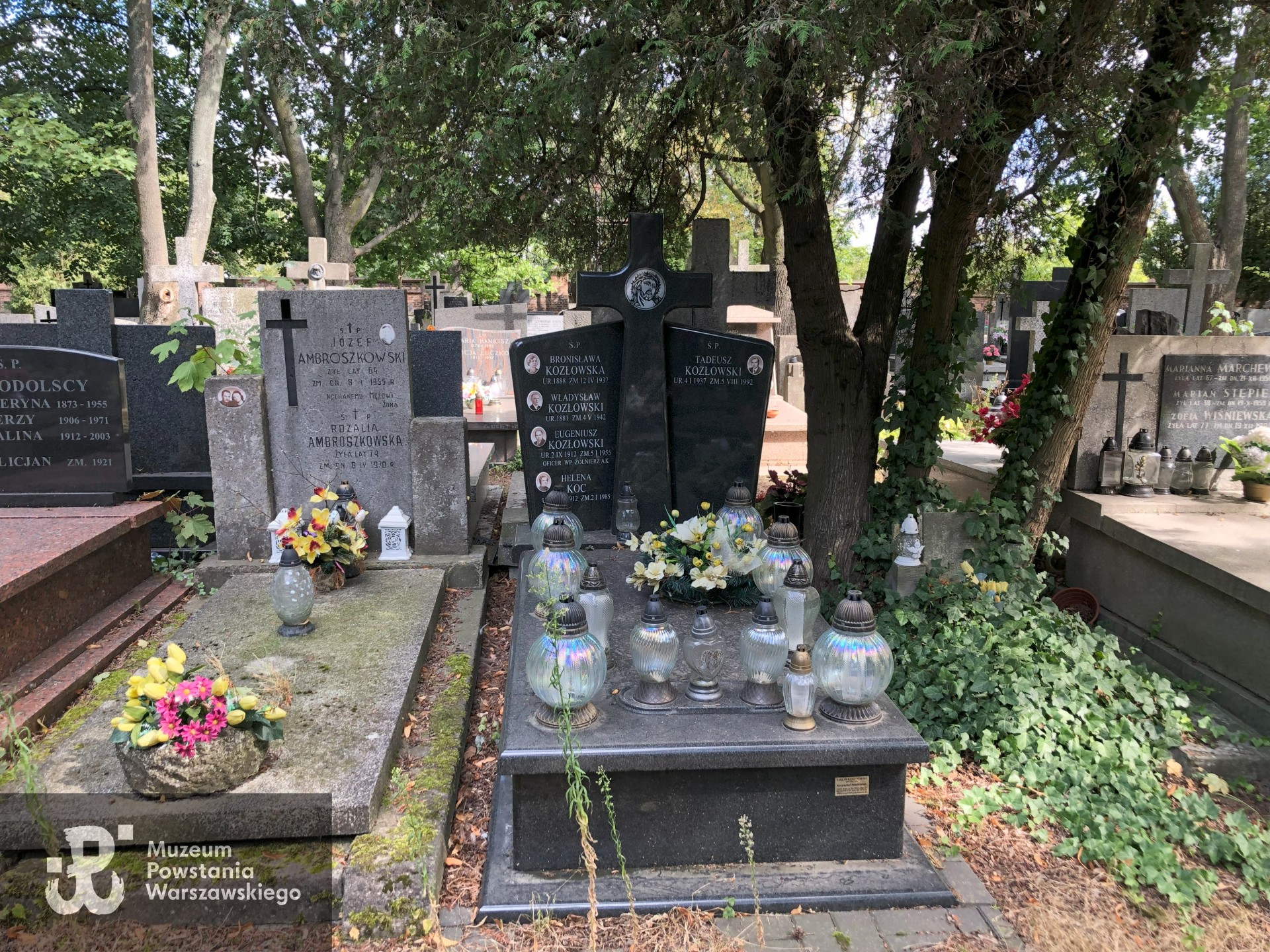 Źródło: Dorota Kotowska.