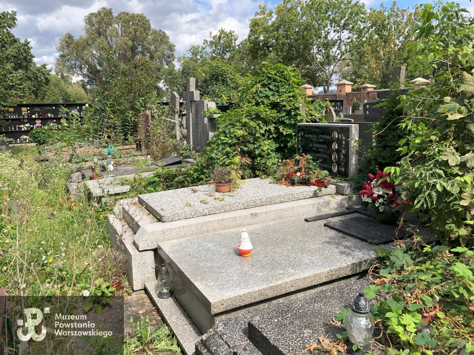 Źródło: Dorota Kotowska.