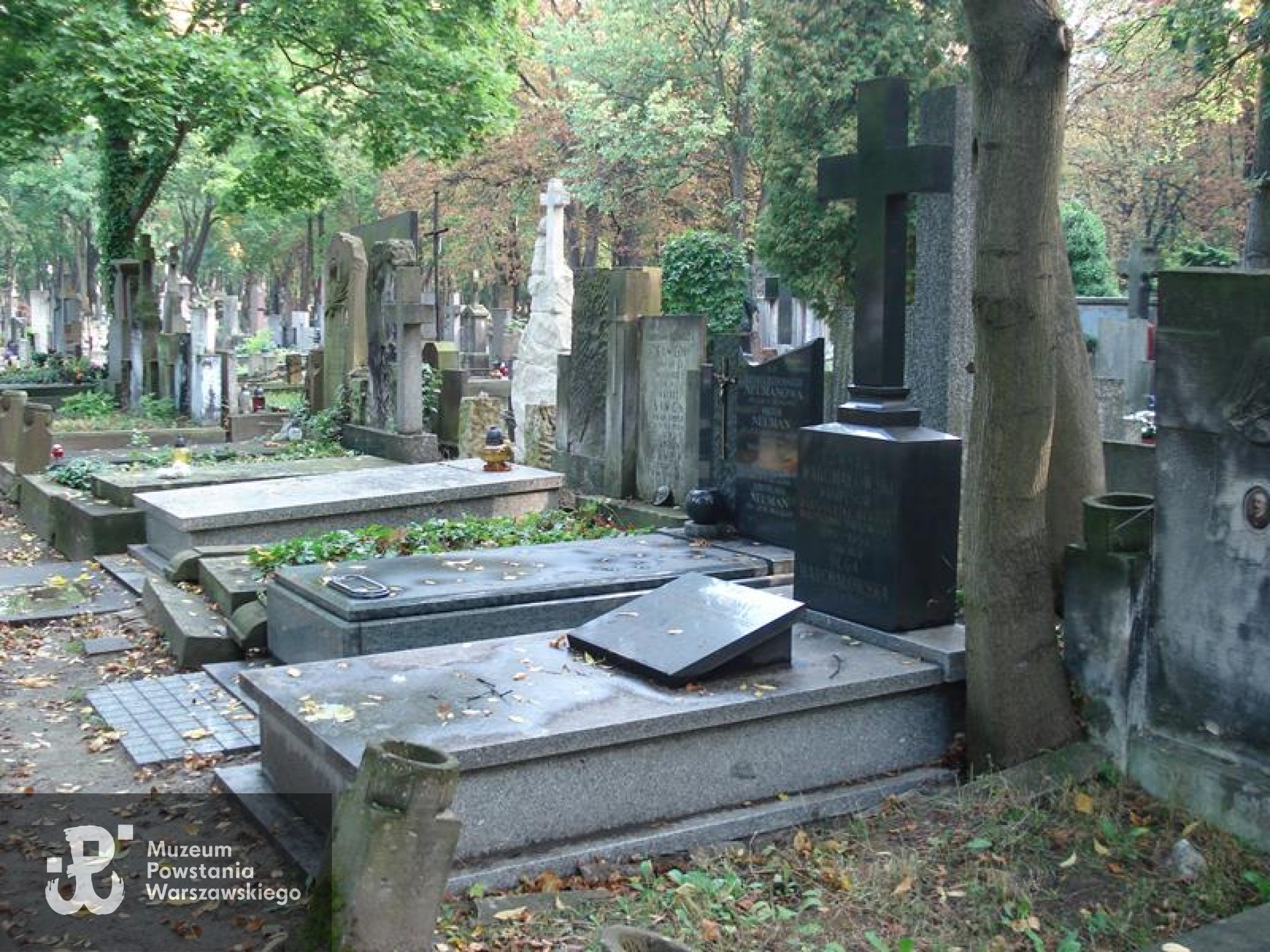 Grób symboliczny na Starych Powązkach w Warszawie. Źródło: https://cmentarze.um.warszawa.pl/pomnik.aspx?pom_id=35737 [dostęp: 9.02.2026].