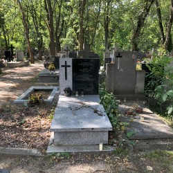 Źródło: Dorota Kotowska, Agnieszka Nowak.