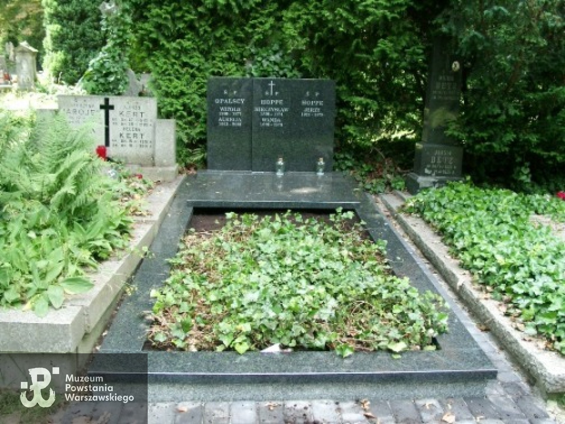 Źródło: https://wawamlynarska.grobonet.com/grobonet/start.php?id=detale&idg=731 [dostęp: 31.05.2026].