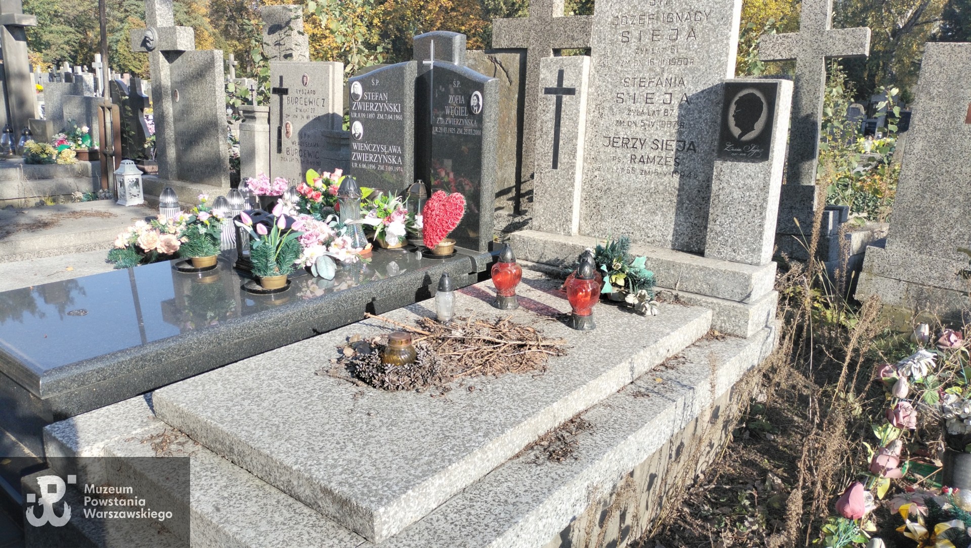 Źródło: Zespół Szkół nr 14 w Warszawie.