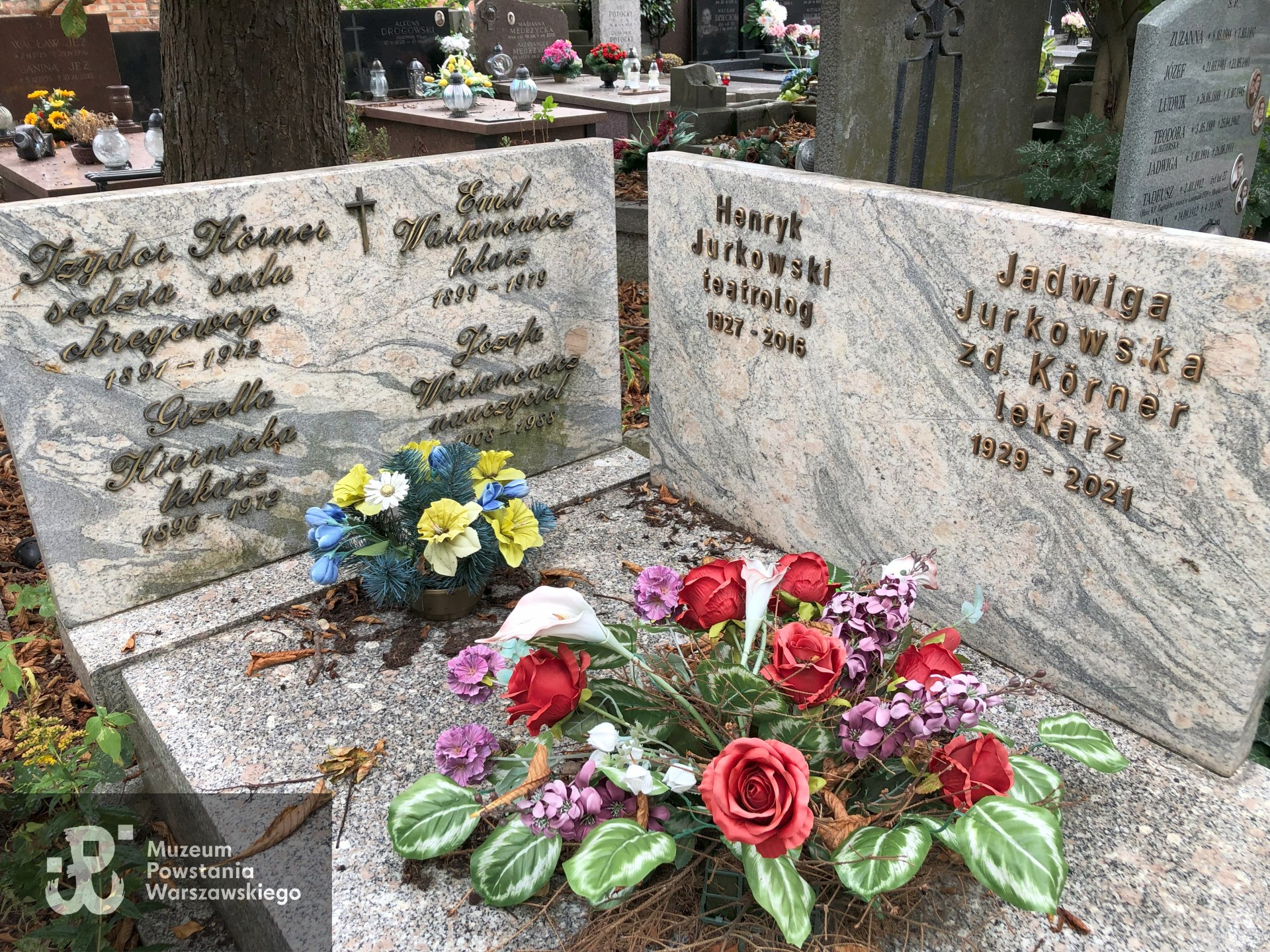 Źródło: Dorota Kotowska, Agnieszka Nowak.
