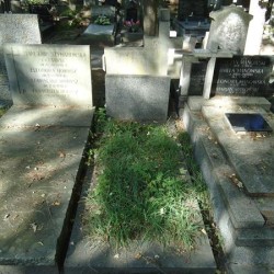 Źródło: https://cmentarze.um.warszawa.pl/pomnik.aspx?pom_id=44238 [dostęp: 13.11.2025].