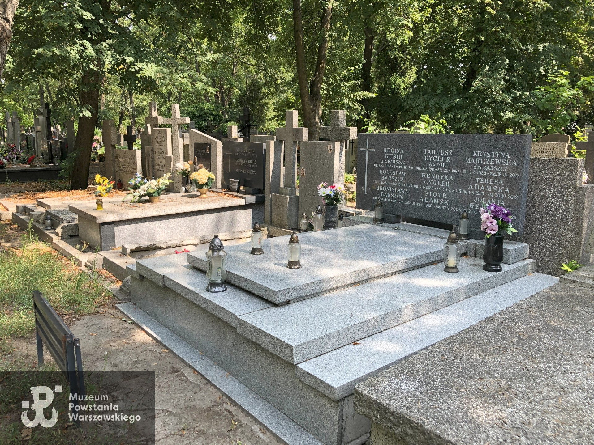 Źródło: Dorota Kotowska.