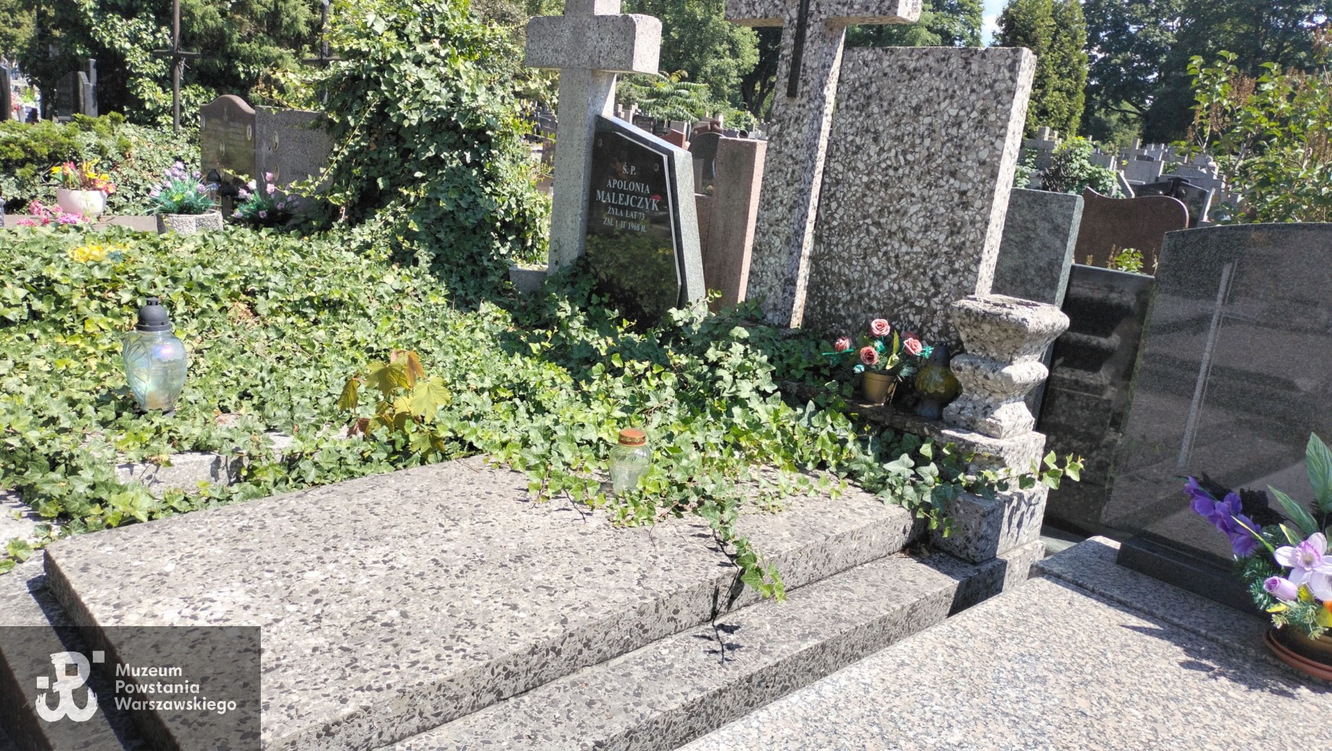 Źródło: Zespół Szkół nr 14 w Warszawie.