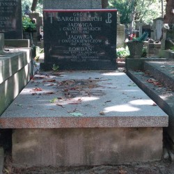 Źródło: https://cmentarze.um.warszawa.pl/pomnik.aspx?pom_id=41967 [dostęp: 13.05.2025].