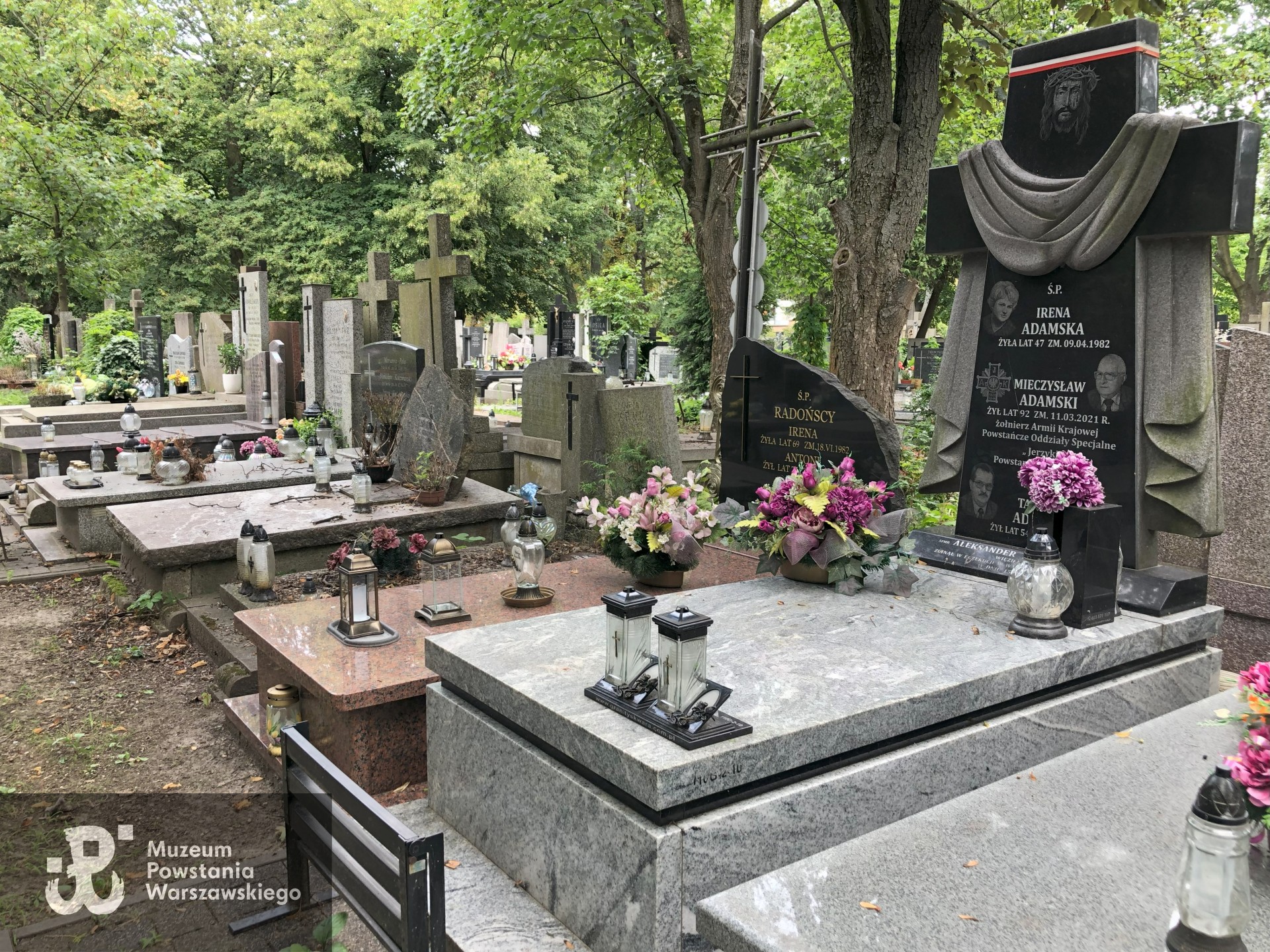 Źródło: Dorota Kotowska.