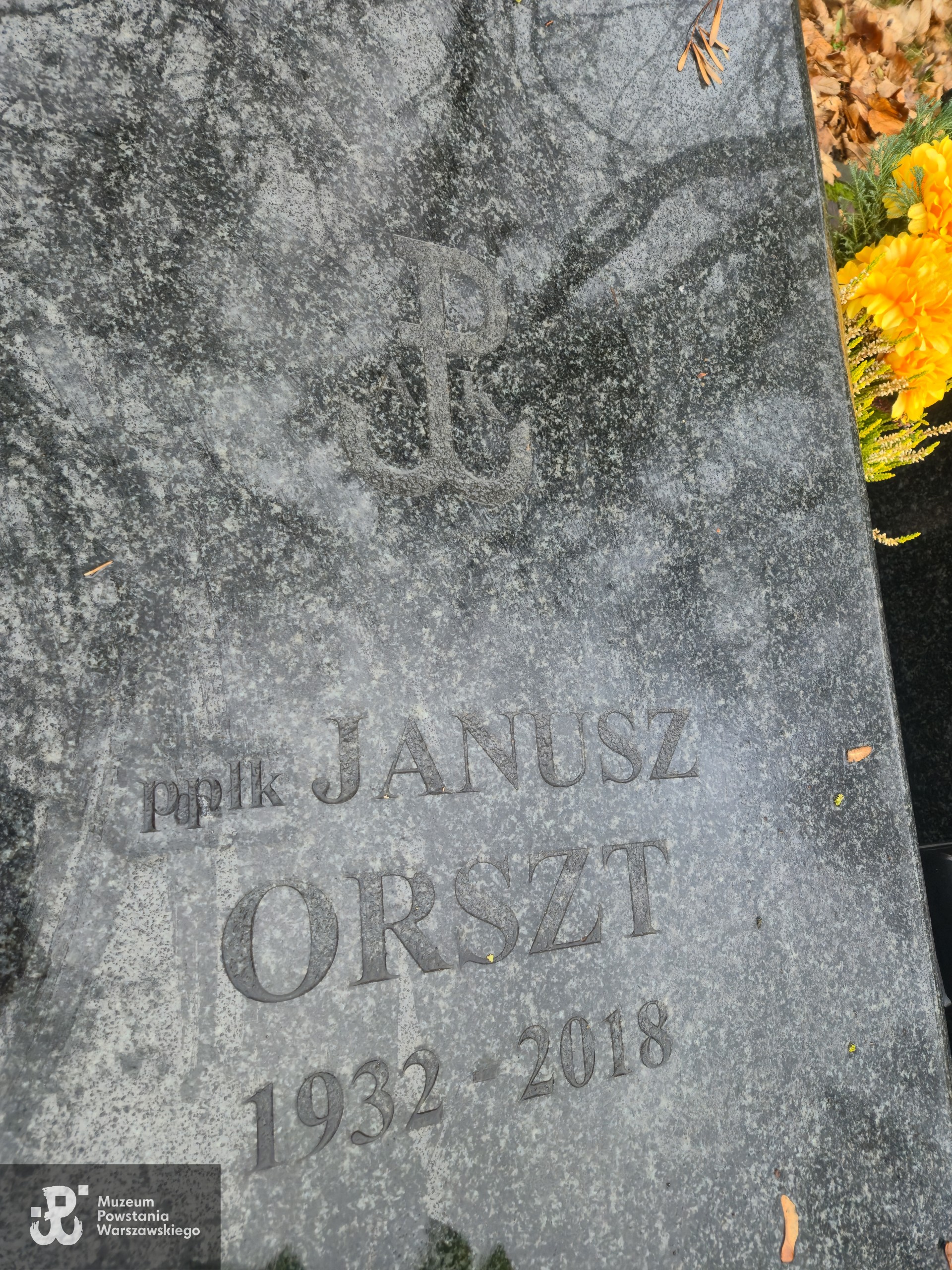 Fot. Igor Niewiadomski