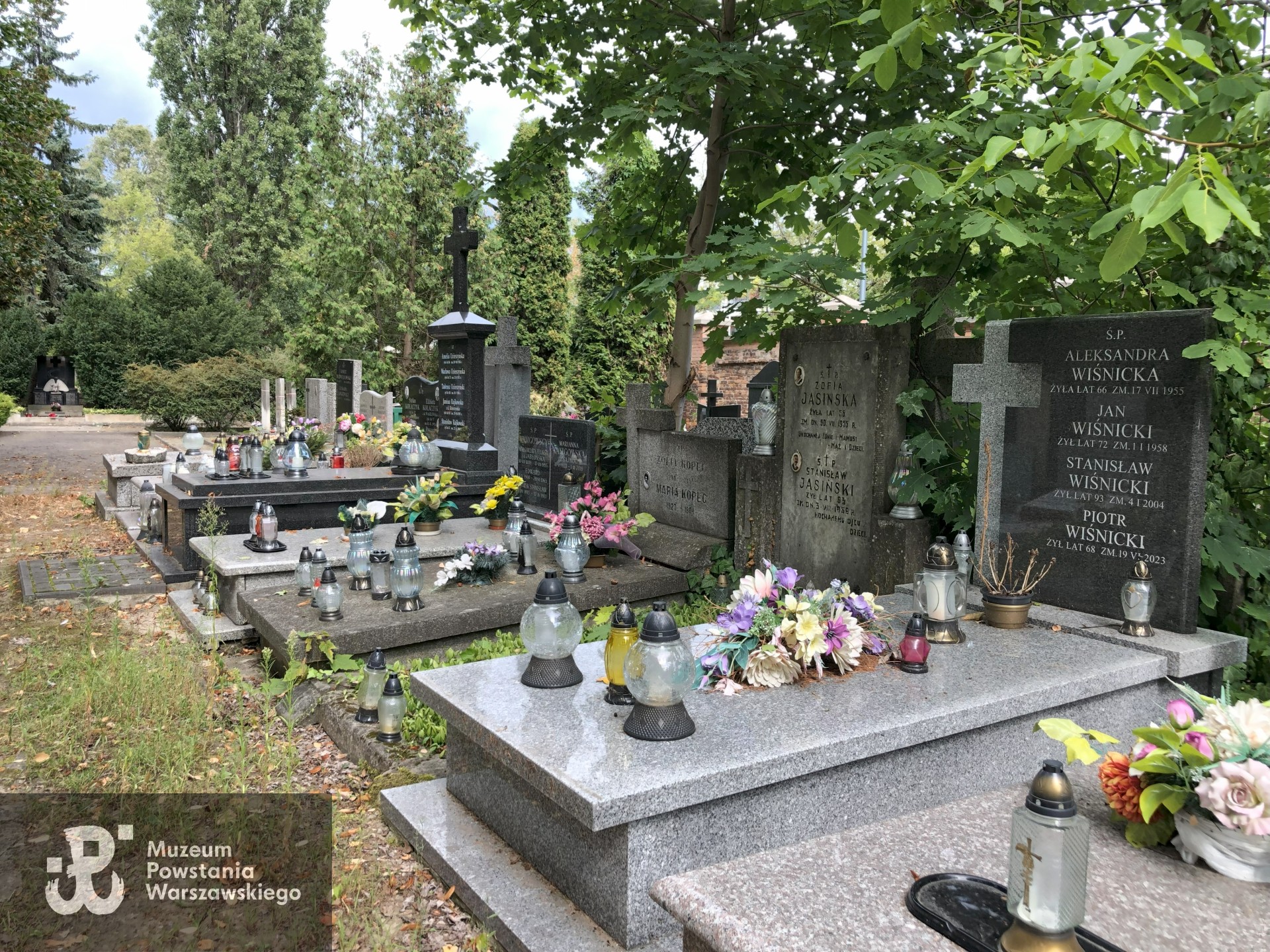 Źródło: Dorota Kotowska.