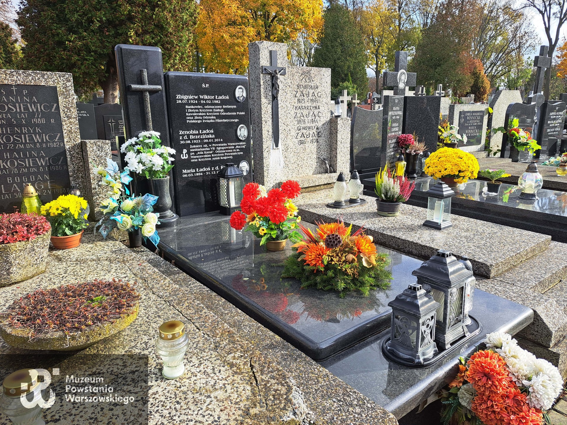 Źródło: Agnieszka Nowak.