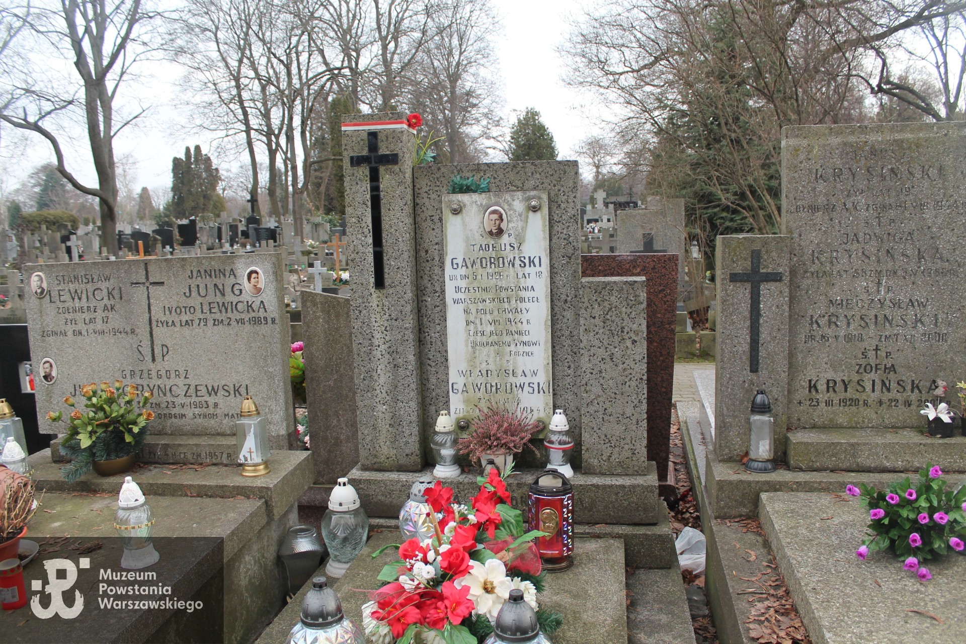 Źródło: https://www.findagrave.com/memorial/264465215/tadeusz-gaworowski [dostęp: 24.03.2026].