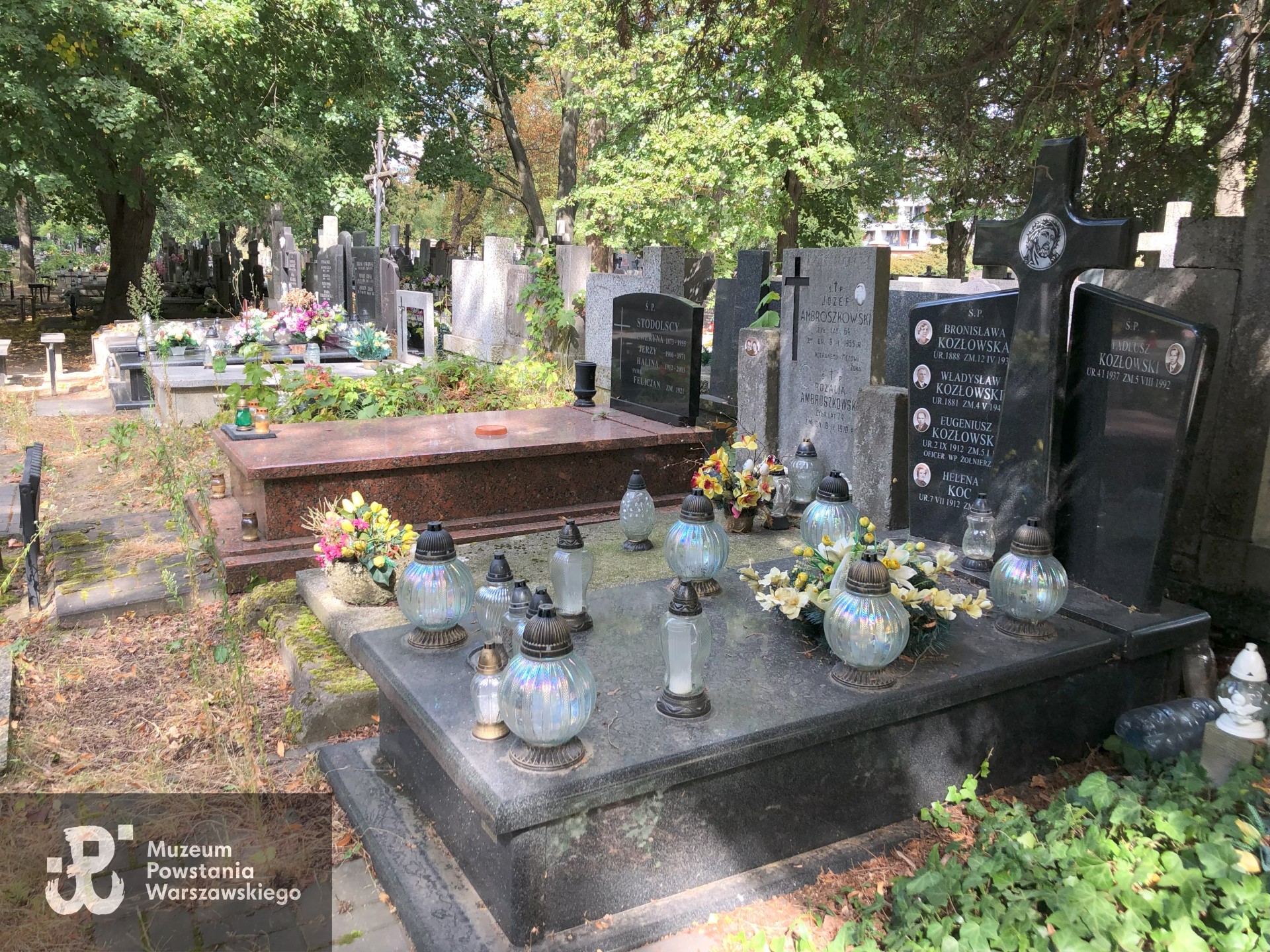 Źródło: Dorota Kotowska.