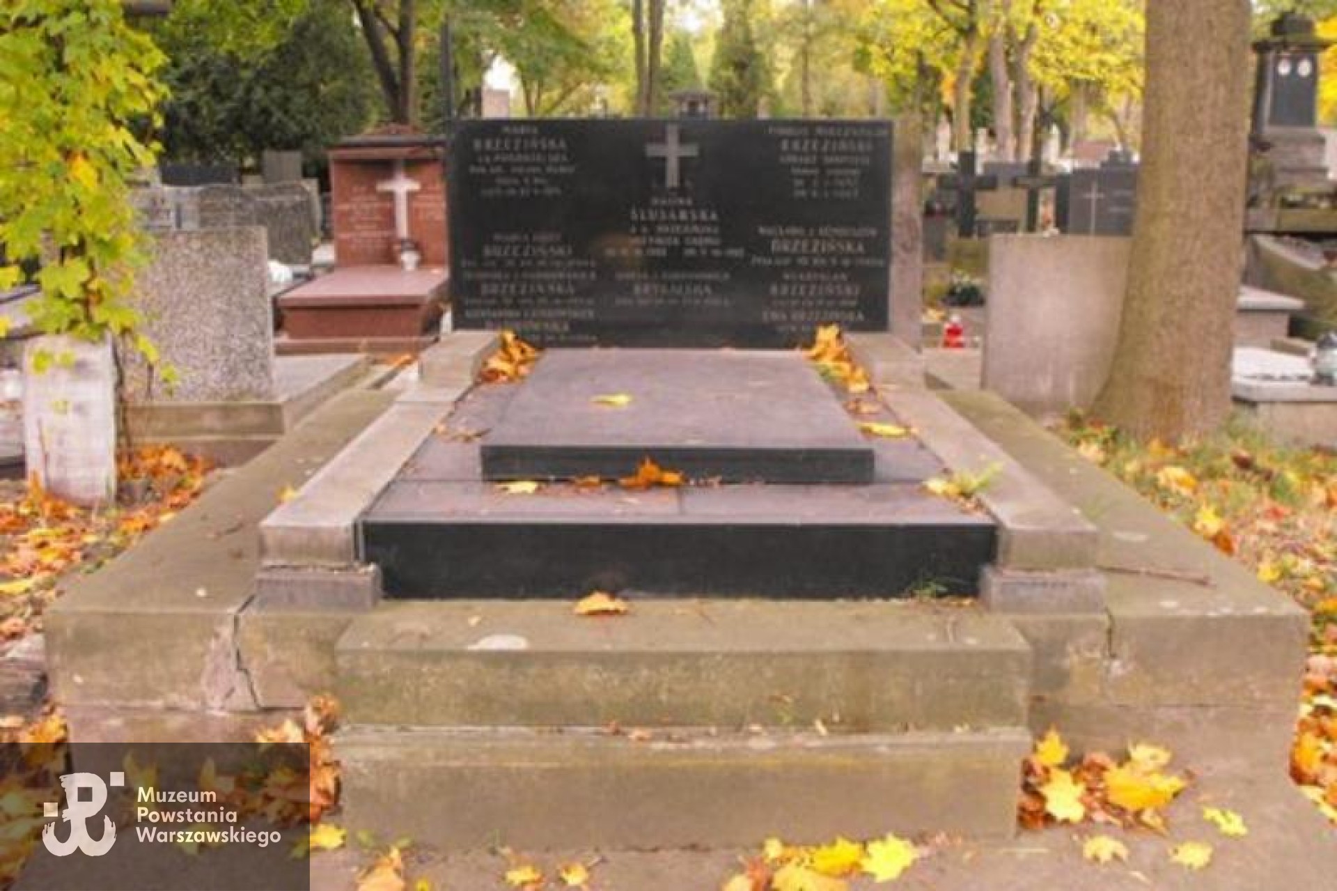 Źródło: https://cmentarze.um.warszawa.pl/pomnik.aspx?pom_id=25740 [dostęp: 11.06.2025].