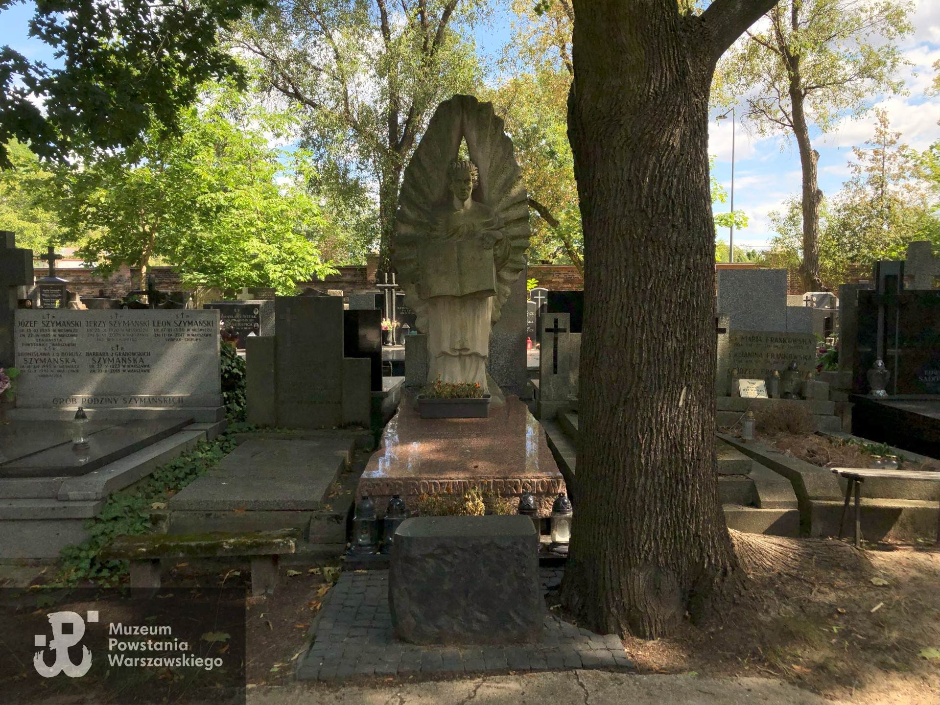 Źródło: Dorota Kotowska.