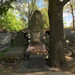 Źródło: Dorota Kotowska.