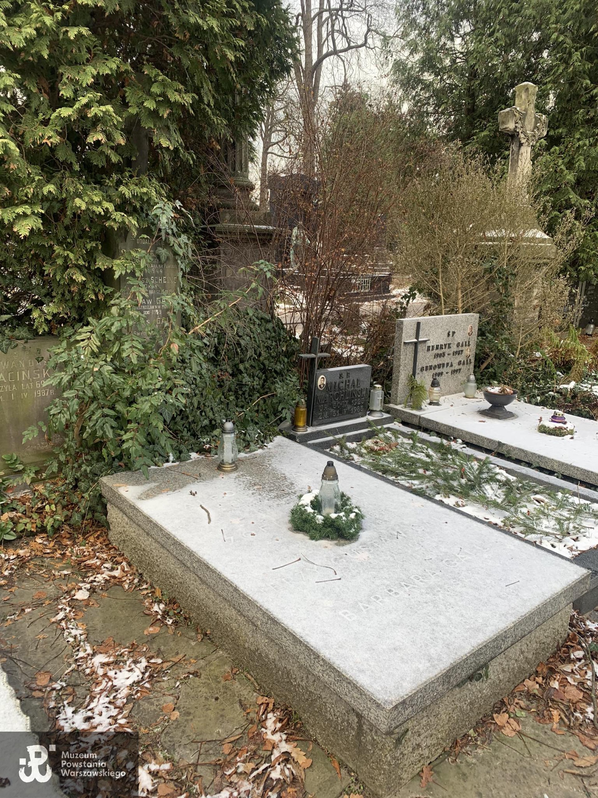 Grób na Cmentarzu Ewangelicko-Augsburskim w Warszawie.