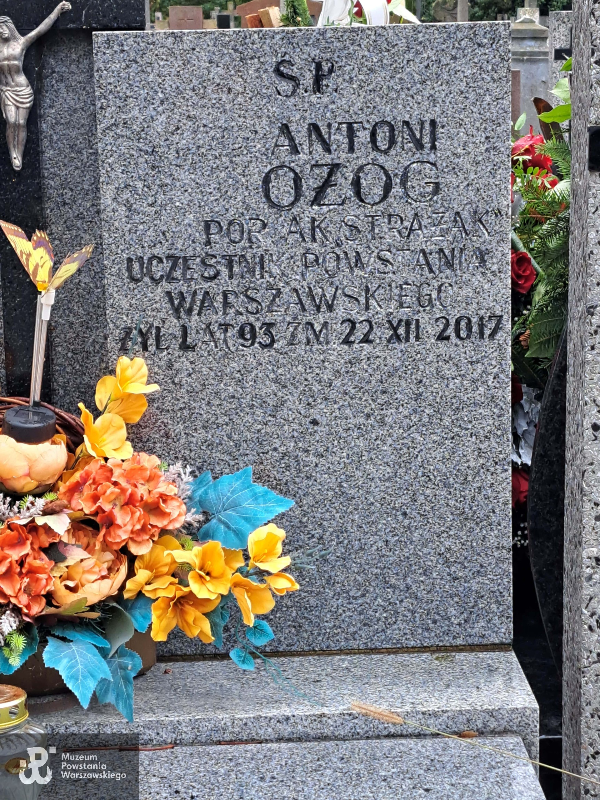 Źródło: Agnieszka Nowak.