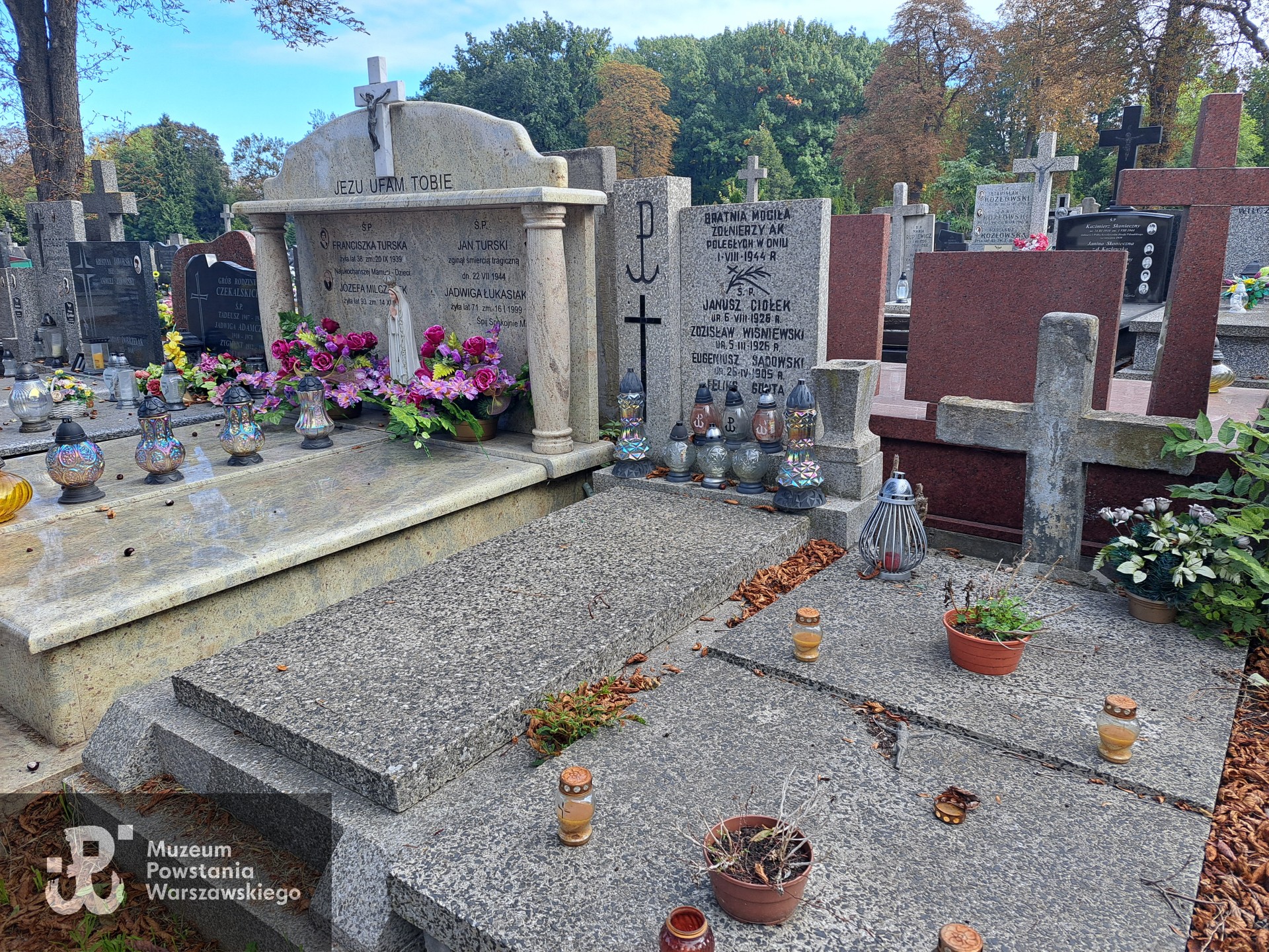 Źródło: Agnieszka Nowak.