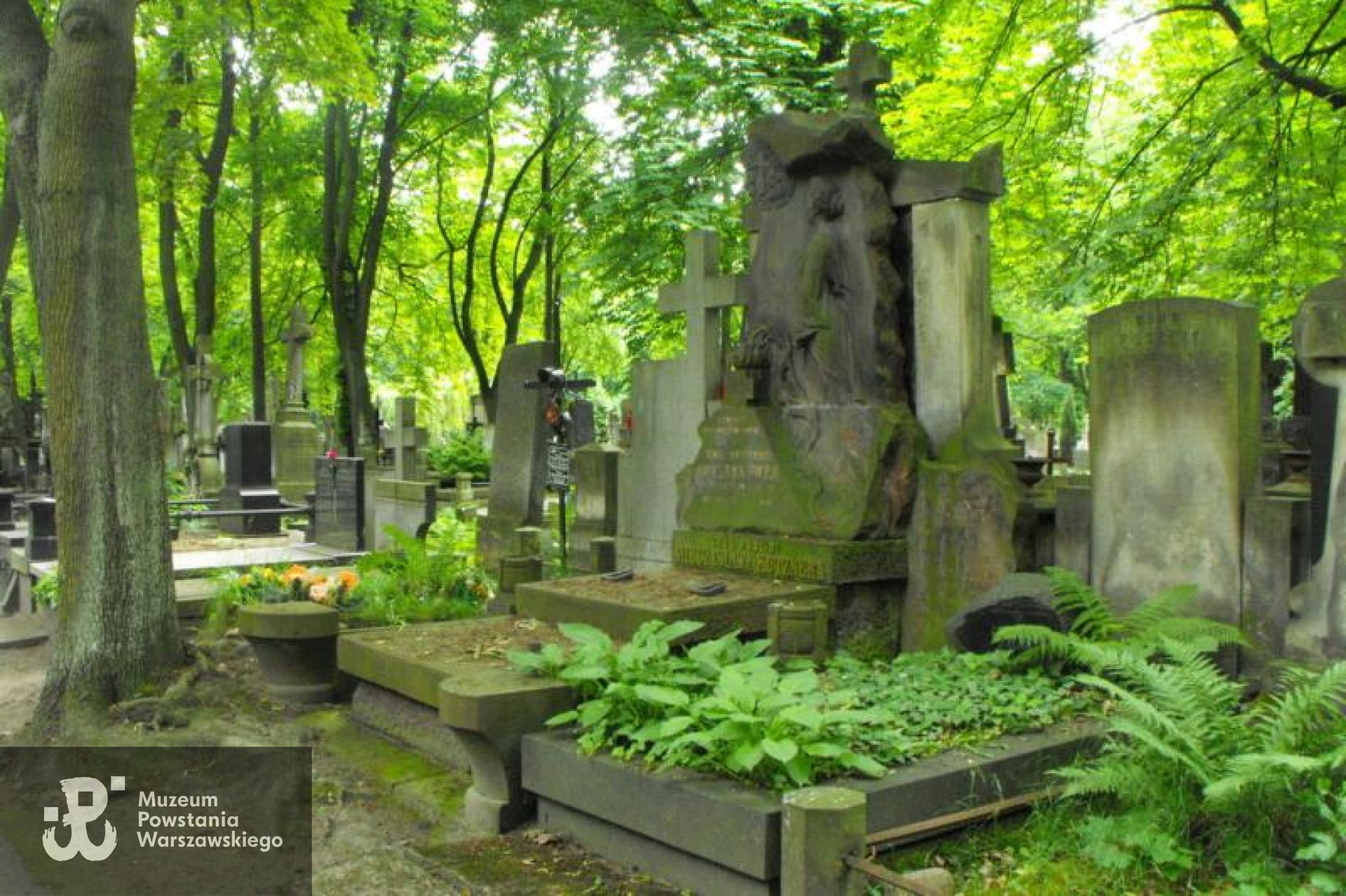 Źródło: https://cmentarze.um.warszawa.pl/pomnik.aspx?pom_id=19264 [dostęp: 9.04.2025].