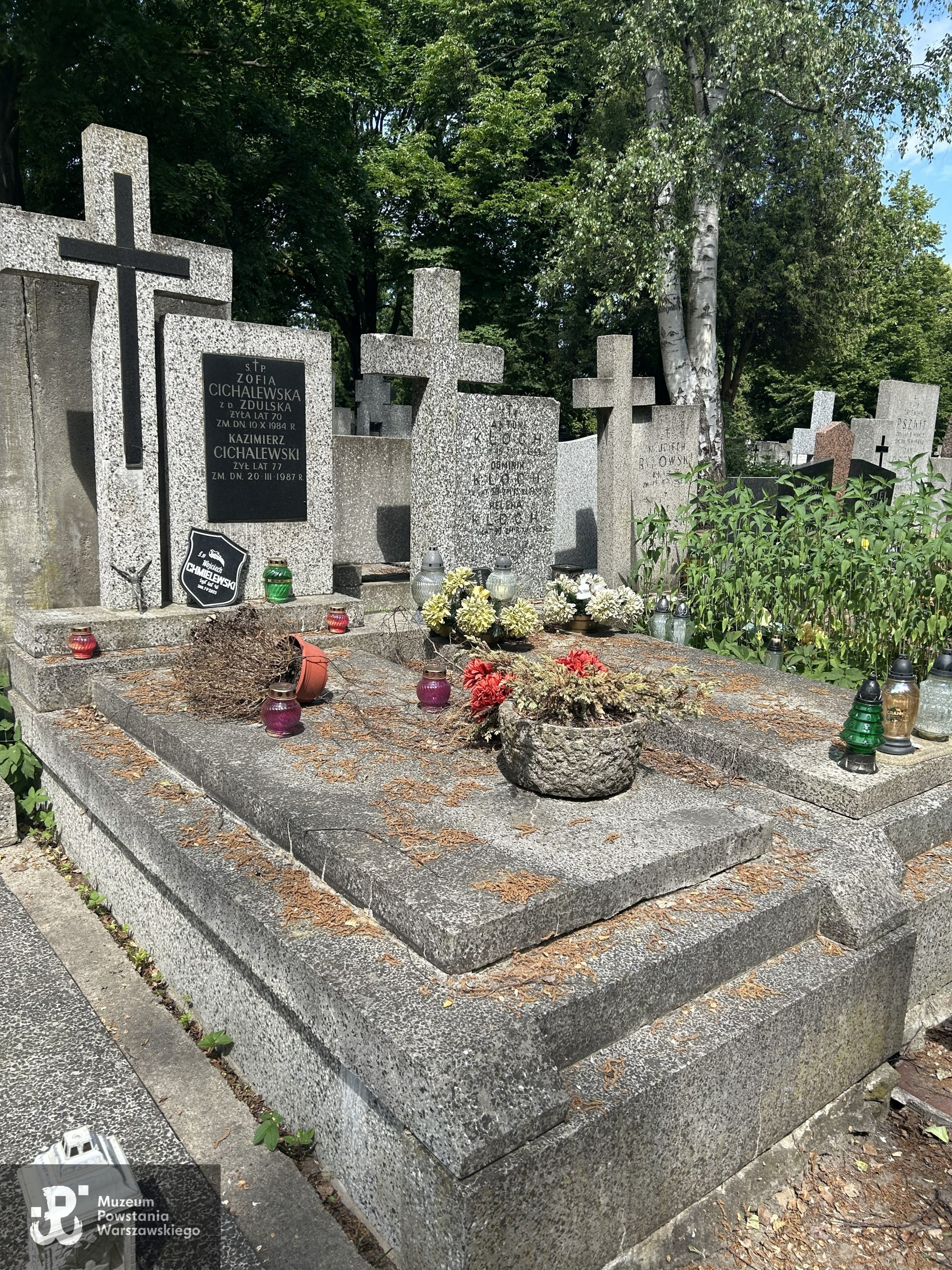 Źródło: VIII Liceum Ogólnokształcące im. Władysława IV w Warszawie.