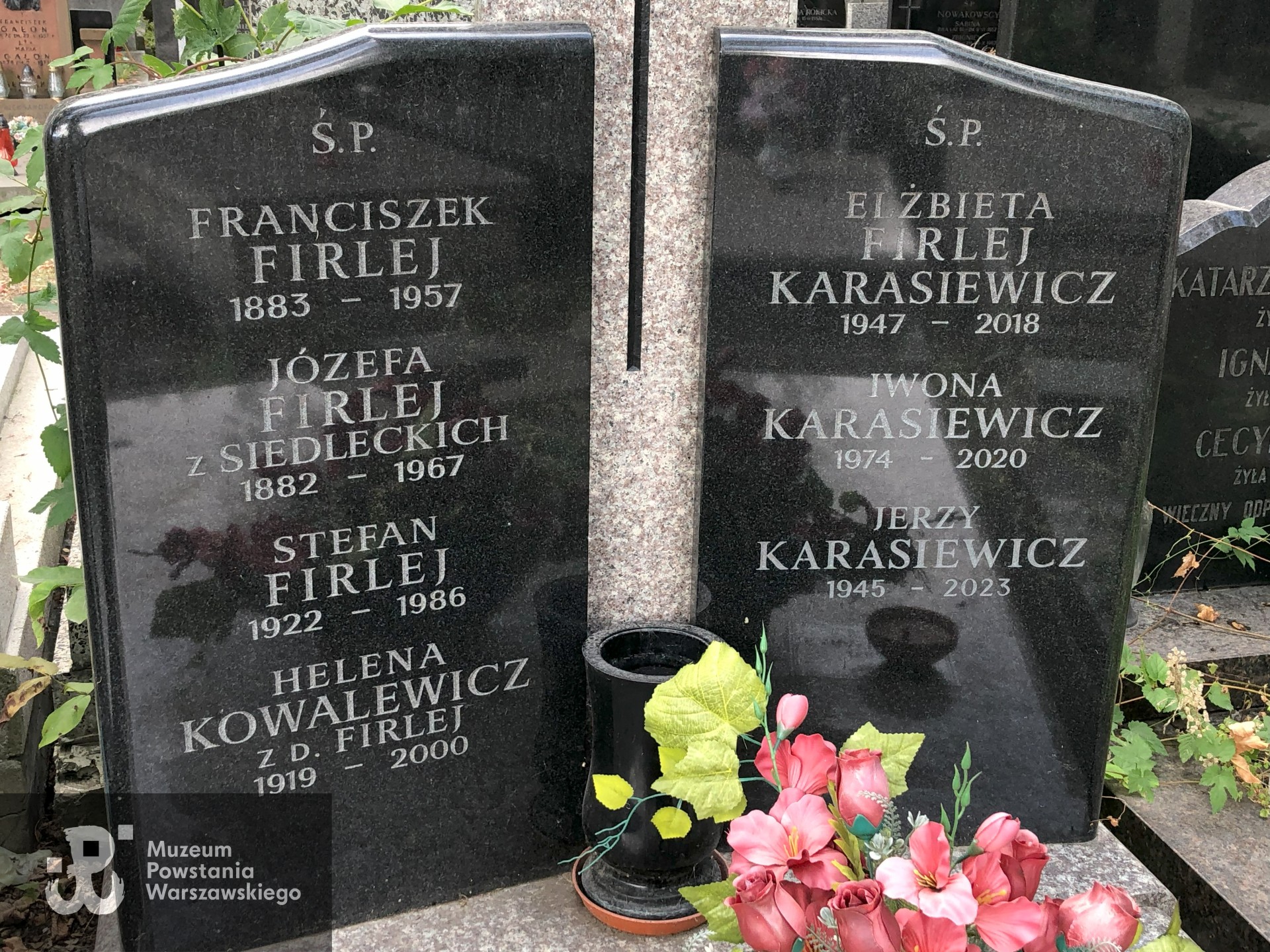 Źródło: Dorota Kotowska.