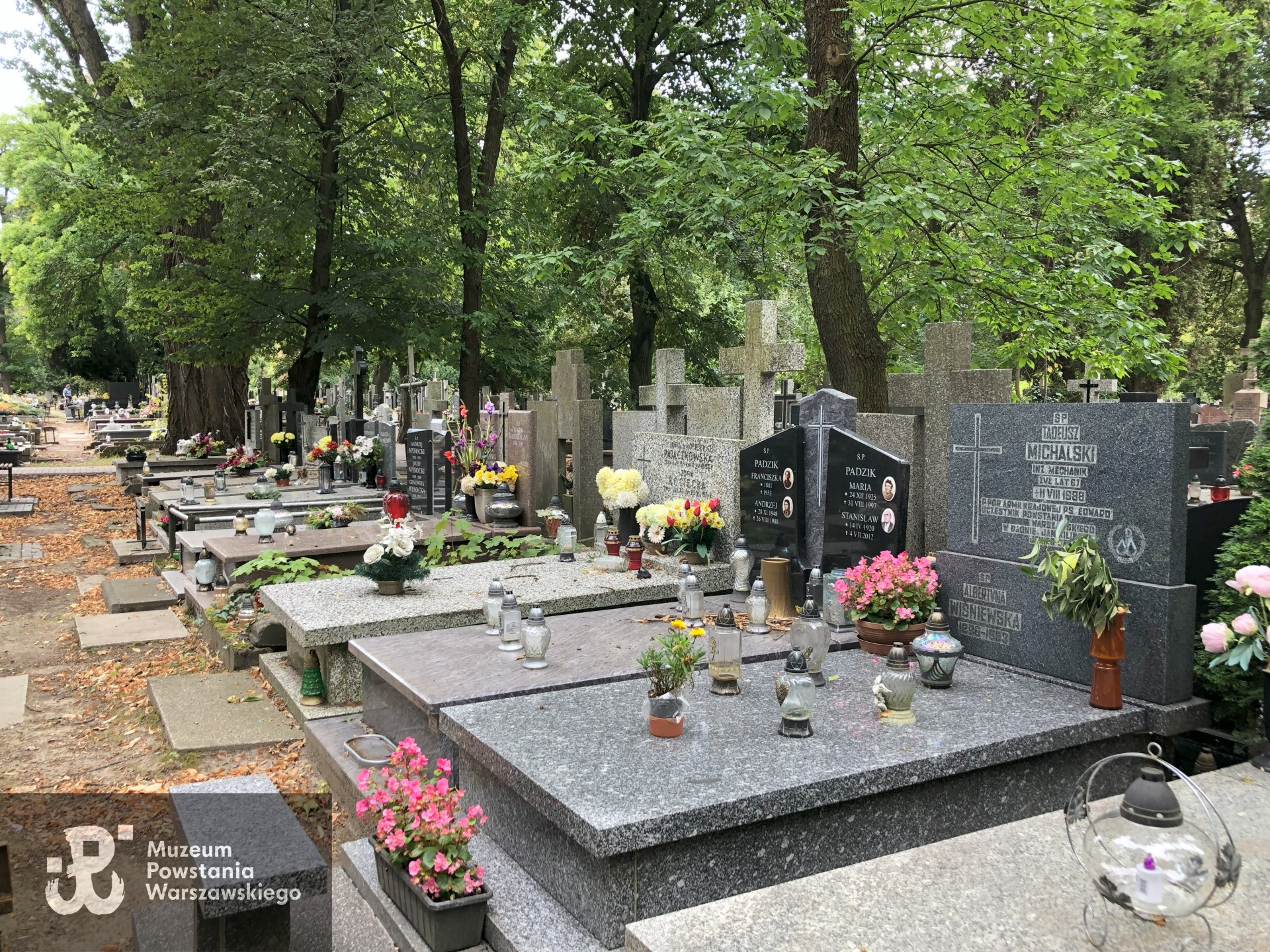 Źródło: Dorota Kotowska.