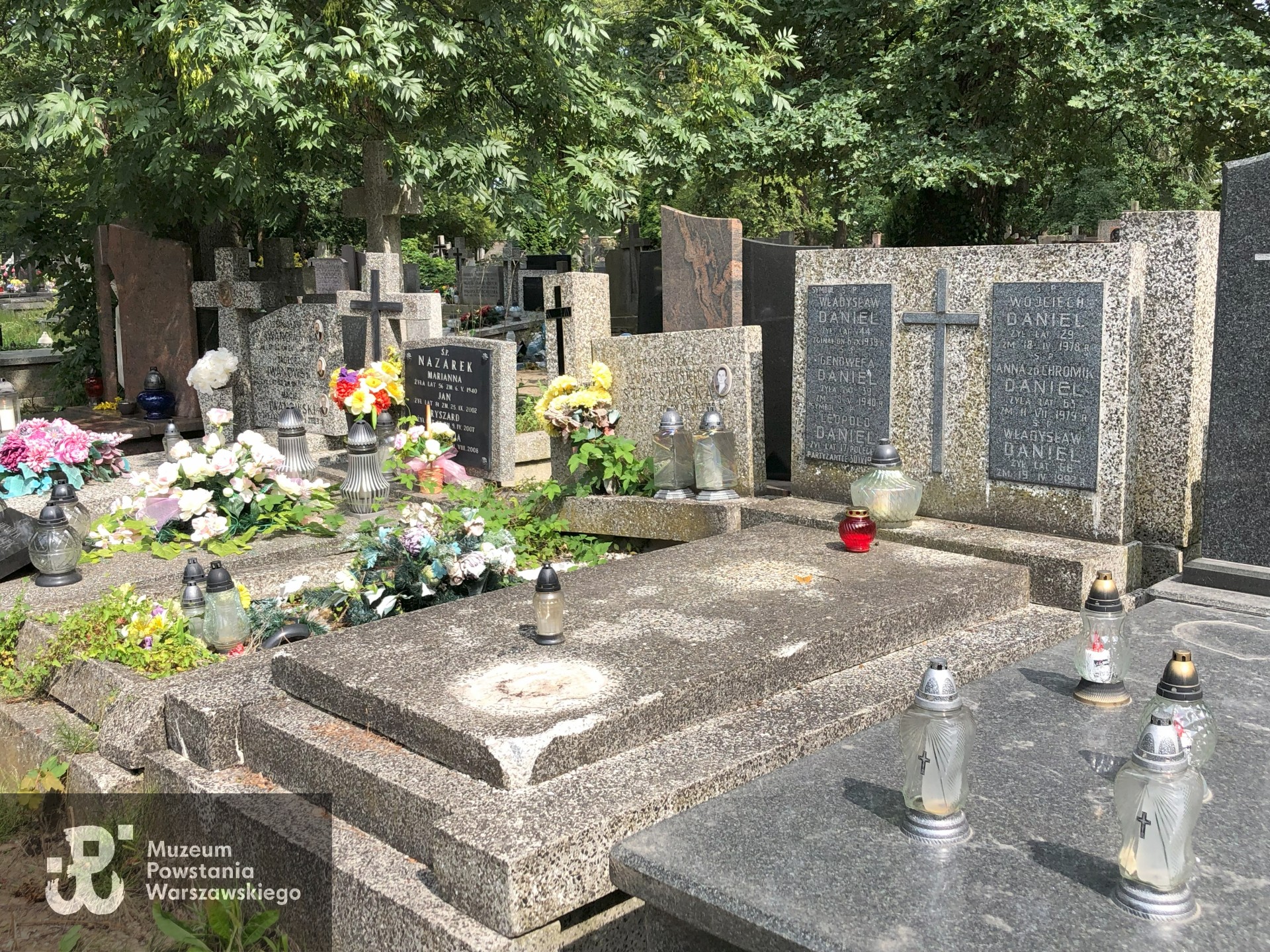 Źródło: Dorota Kotowska.